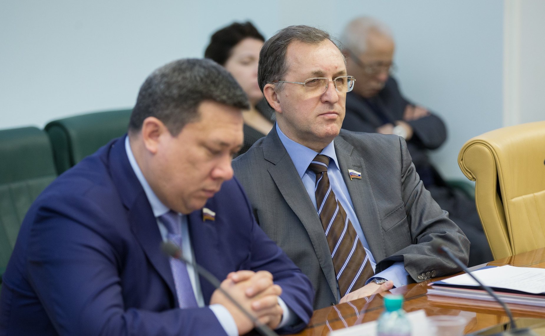 Петелин. Заседание Временной комиссии СФ по мониторингу экономического развития