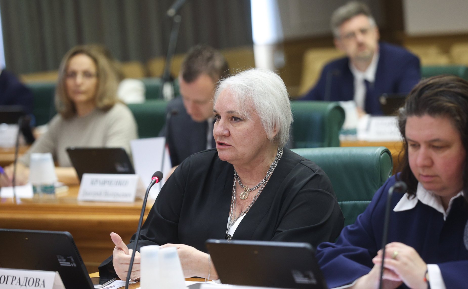 Заседание экспертно-консультативного совета при Комитете Совета Федерации по конституционному законодательству и государственному строительству