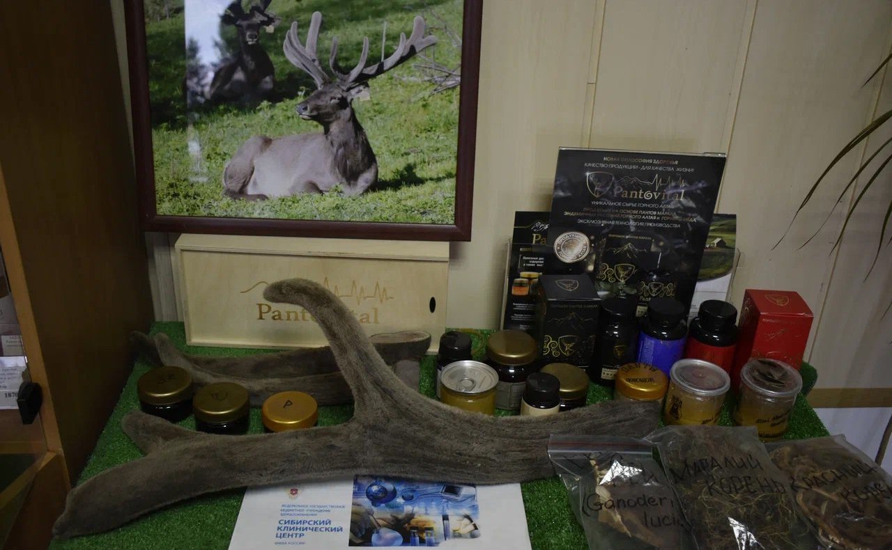 Татьяна Гигель встретилась с коллективом компании «Пантовитал», которая занимается глубокой переработкой пантов марала