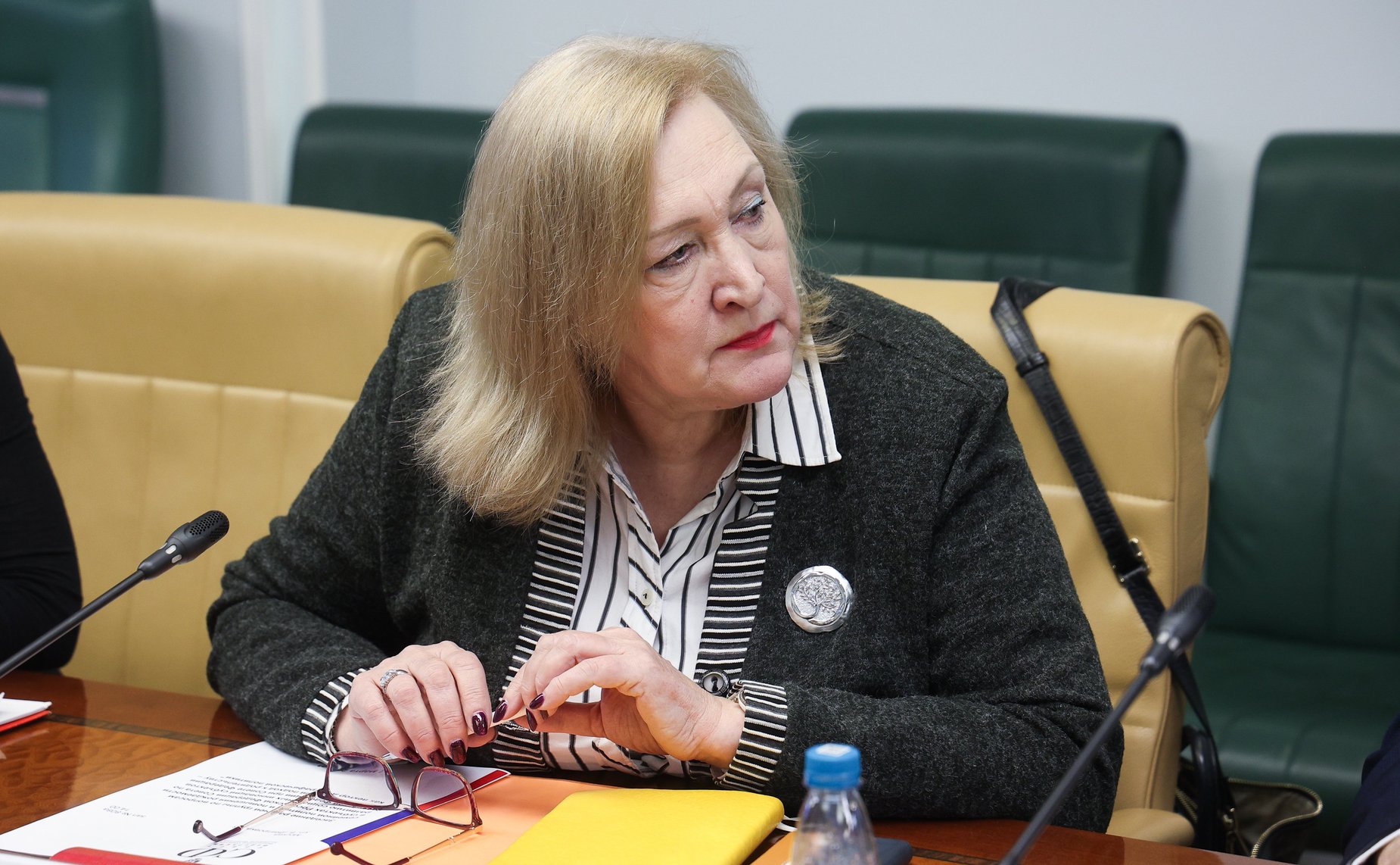 Заседание рабочей группы по вопросам семейной политики и повышения рождаемости в субъектах РФ Совета по развитию социальных инноваций субъектов РФ при Совете Федерации