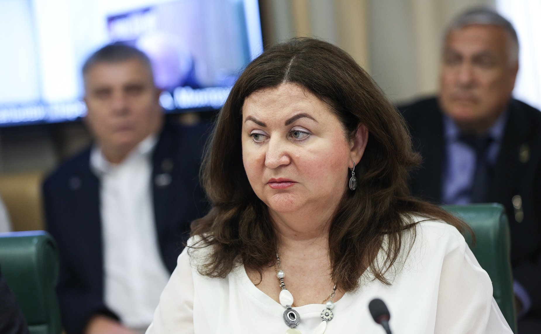 Совещание Комитета СФ по Регламенту и организации парламентской деятельности