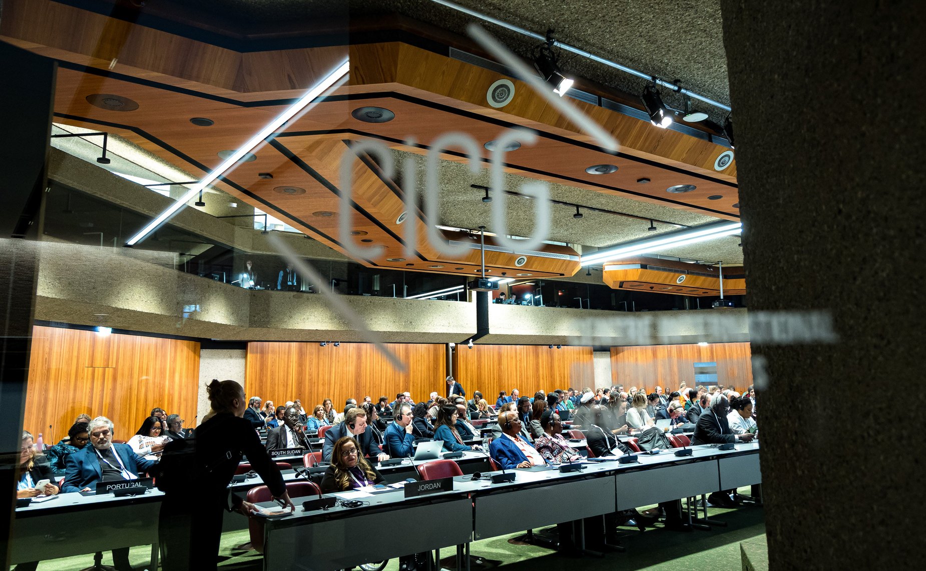 Сенаторы РФ приняли участие в заседании Постоянного комитета по вопросам демократии и прав человека Межпарламентского союза