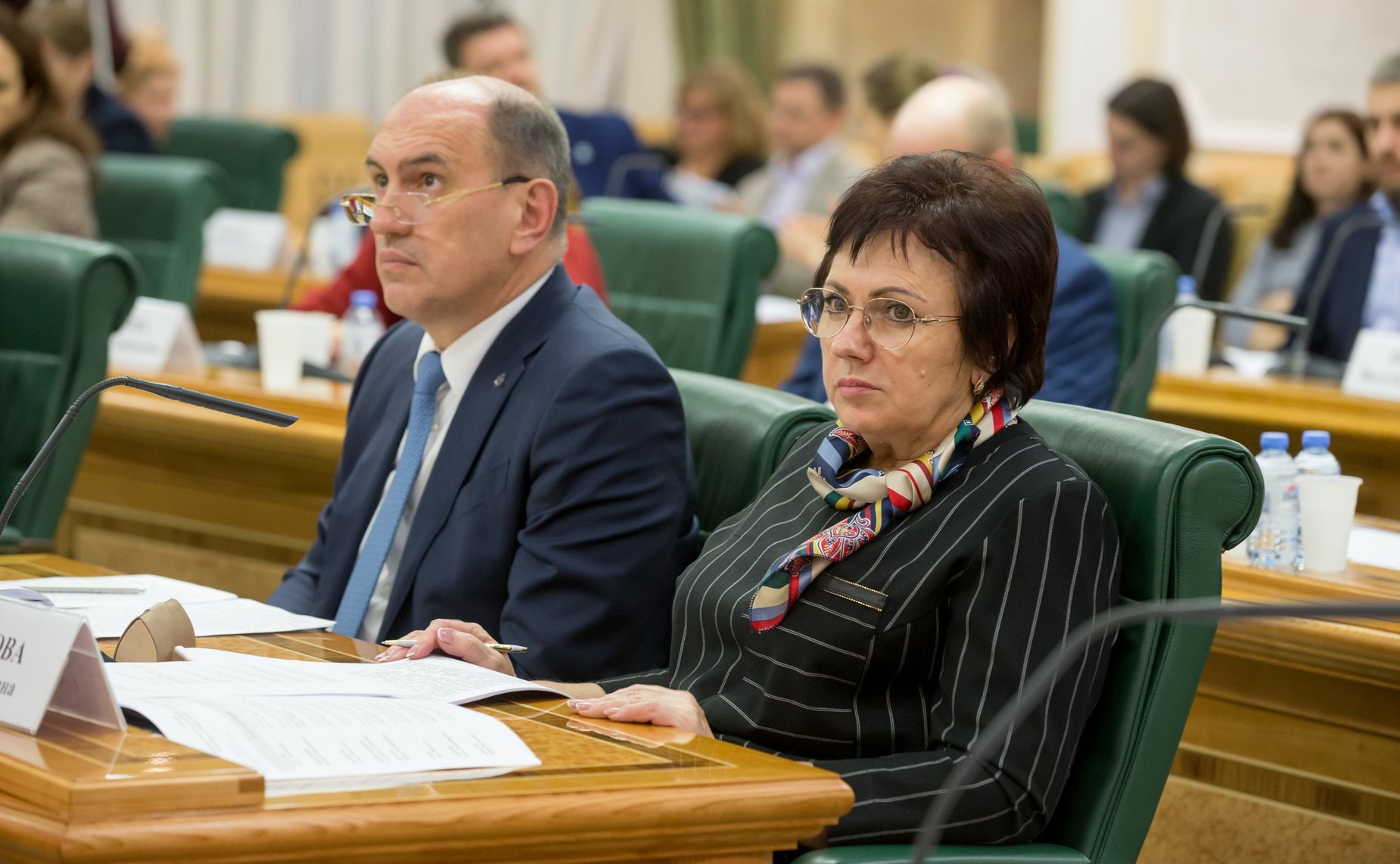 Елена Бибикова