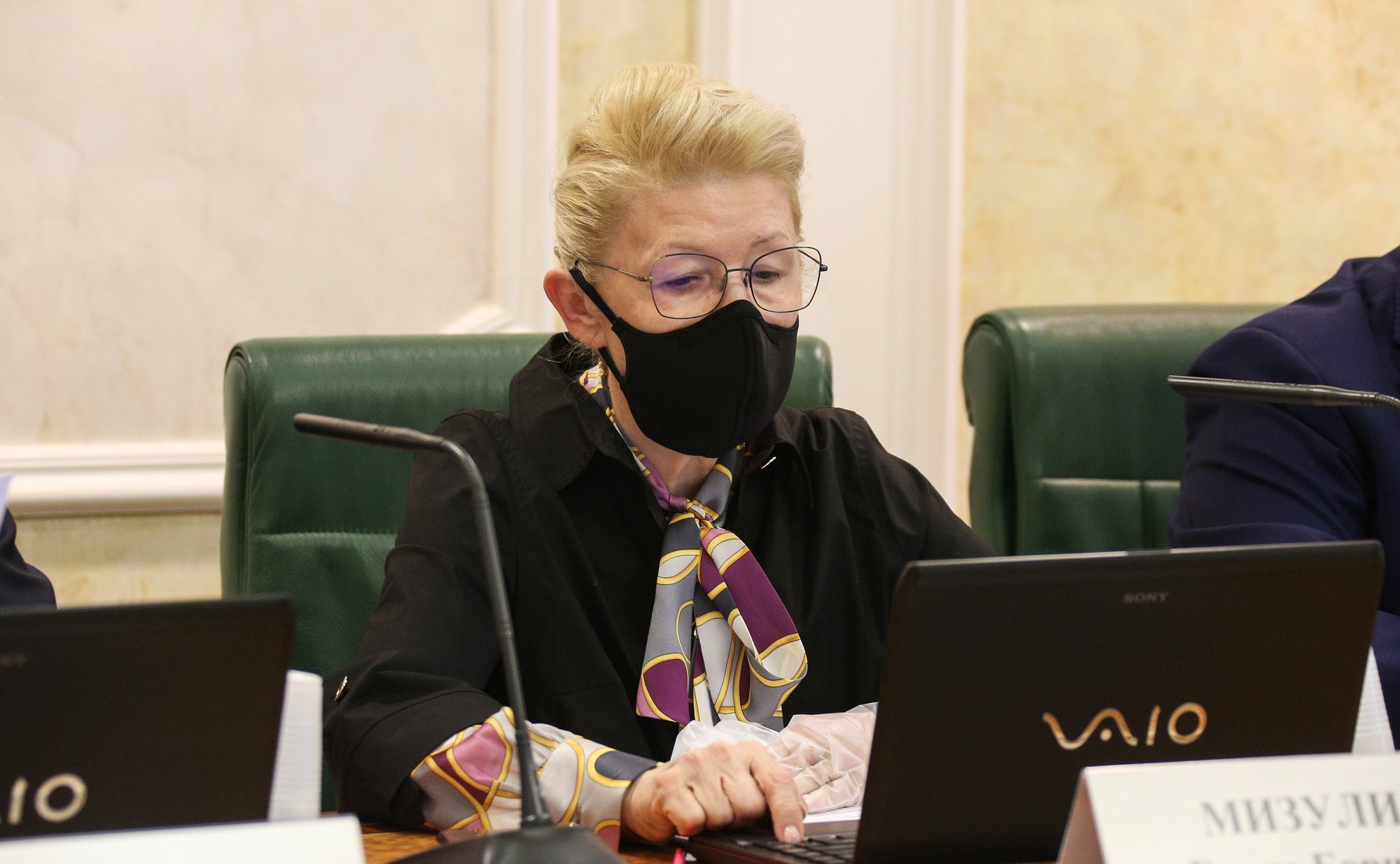 Заседание Комитета СФ по конституционному законодательству и государственному строительству