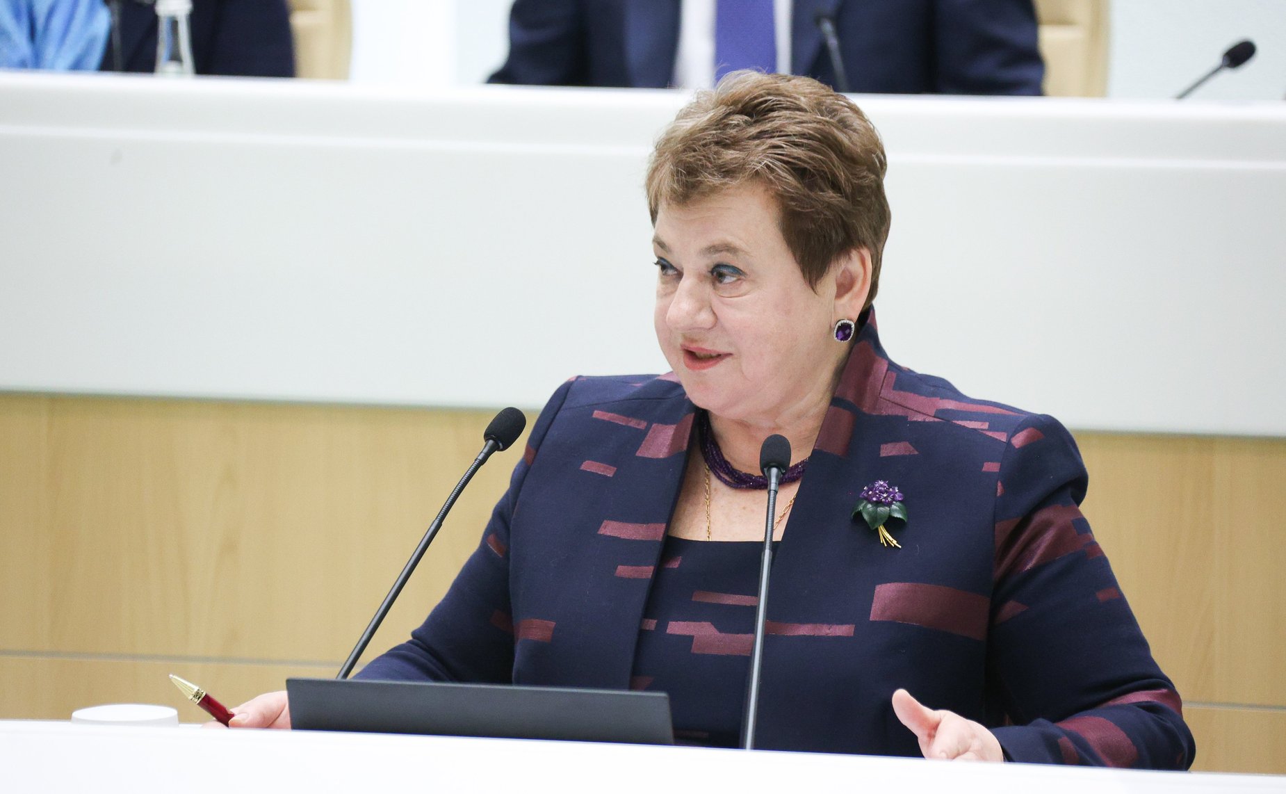 588-е заседание Совета Федерации