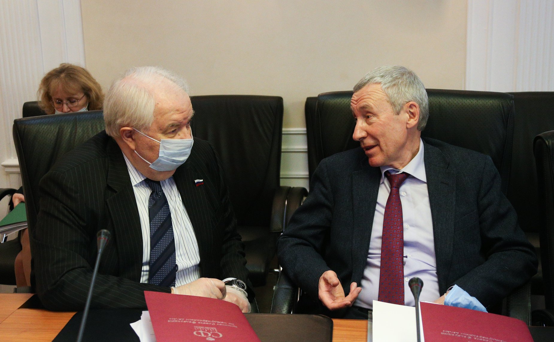 Расширенное заседание Комитета СФ по международным делам