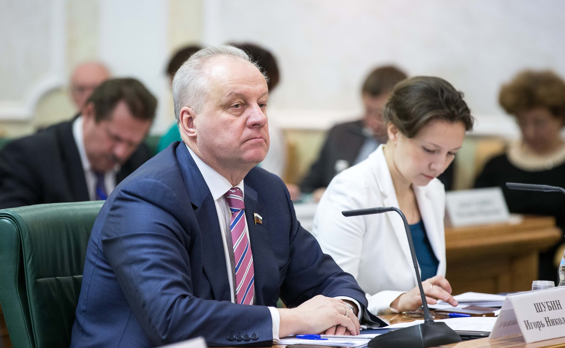 Шубин. Заседание Совета по местному самоуправлению при верхней палате парламента