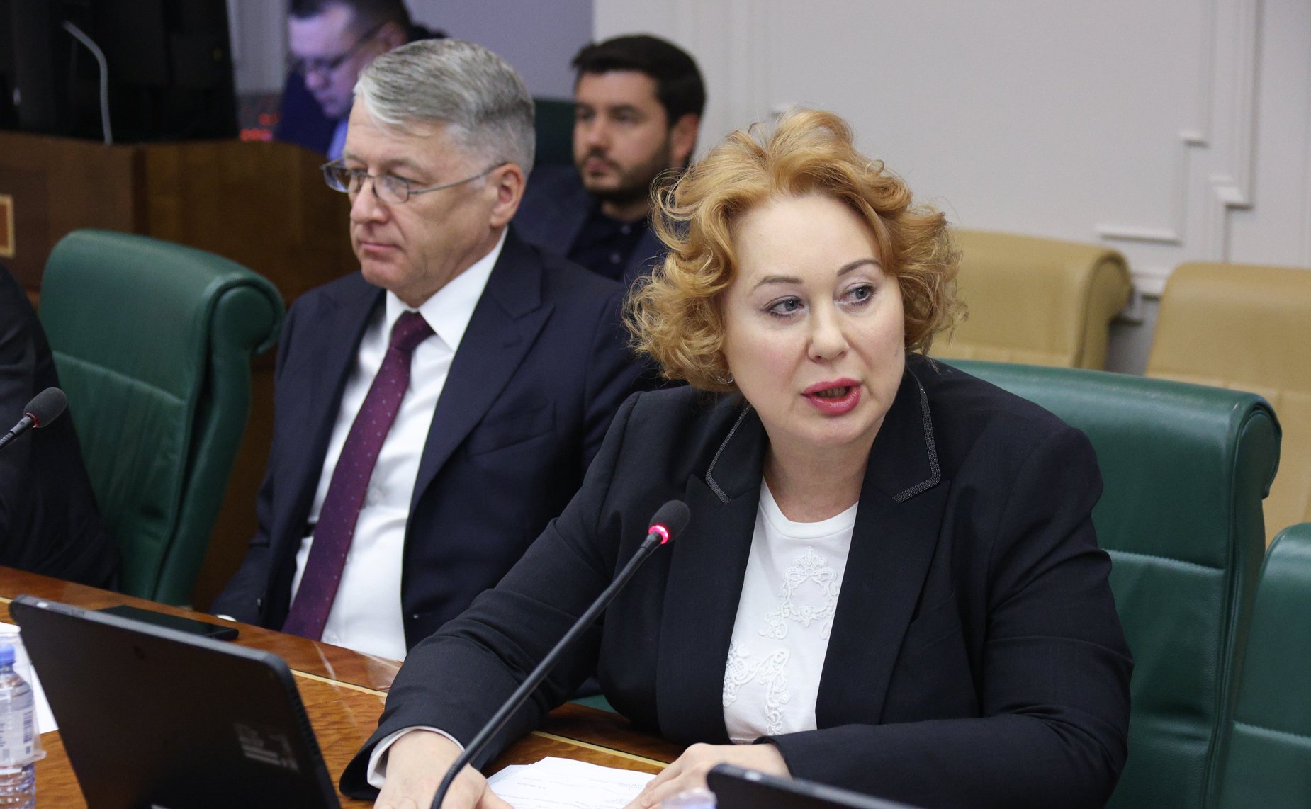 Заседание межкомитетской временной рабочей группы по мониторингу мер по обеспечению предупреждению и ликвидации разливов нефти и нефтепродуктов