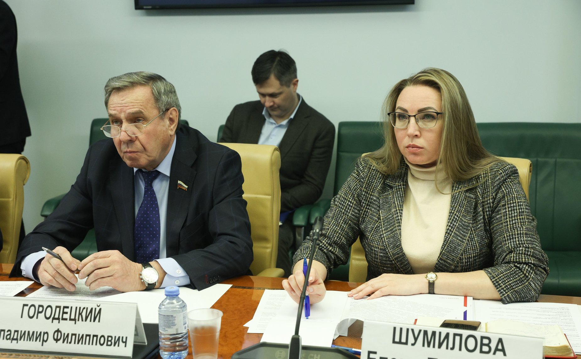 Круглый стол Комитета СФ по федеративному устройству, региональной политике, МСУ и делам Севера