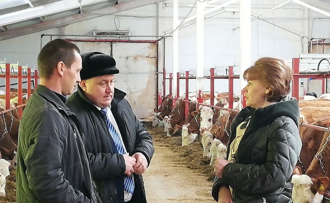 Татьяна Гигель в ходе рабочей командировки по региону побывала на новой ферме в селе Гусевка Чойского района