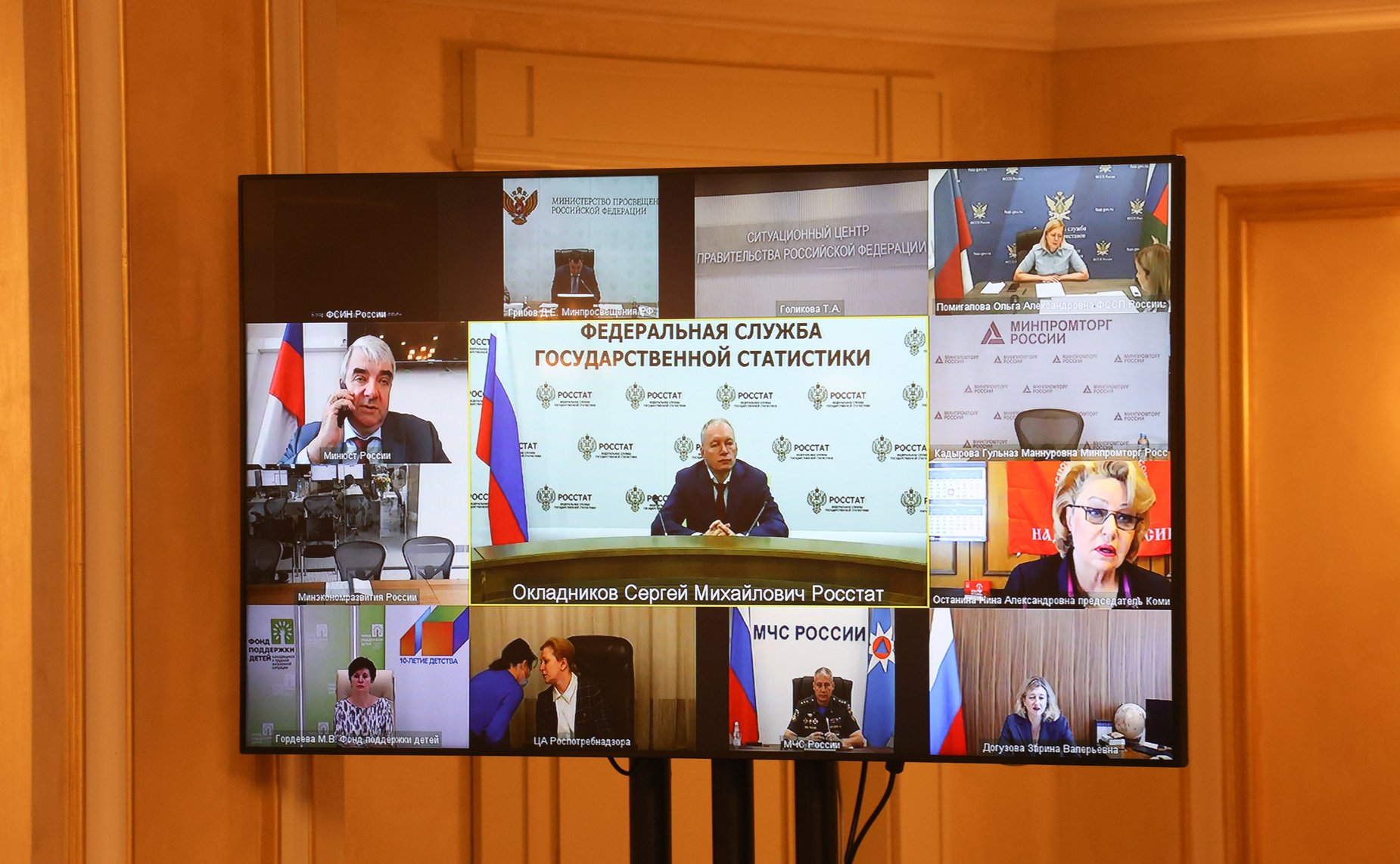 Галина Карелова приняла участие в заседании Координационного совета при Правительстве РФ по проведению в РФ Десятилетия детства
