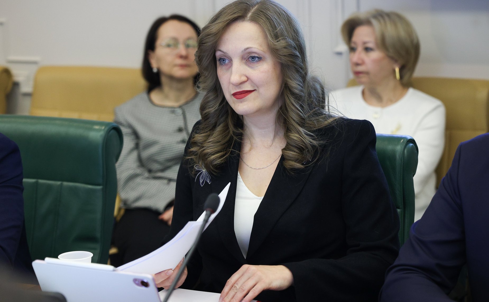 Расширенное заседание Комитета Совета Федерации по международным делам (в рамках Дней Амурской области в Совете Федерации)