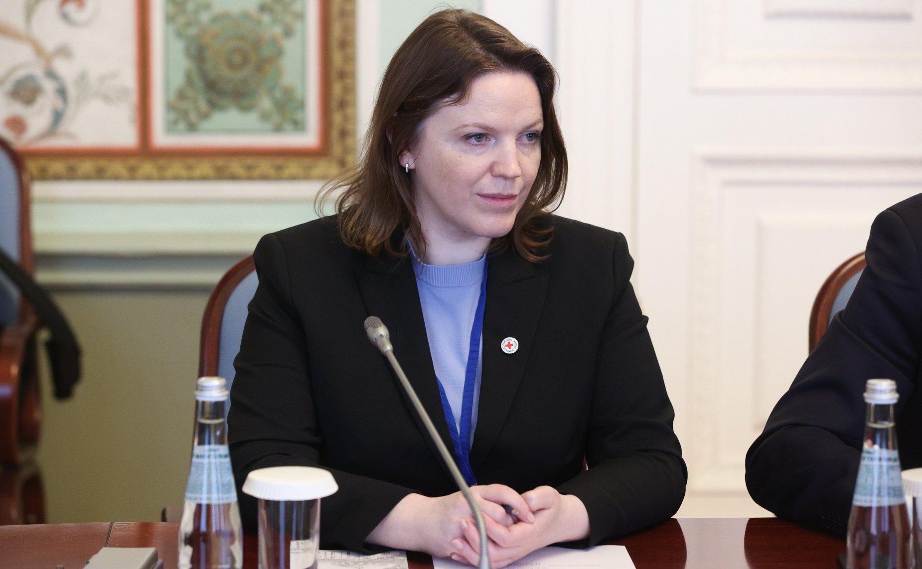 Константин Косачев провел беседу с главой региональной делегации Международного Комитета Красного Креста (МККК) в России и Беларуси Борисом Мишелем