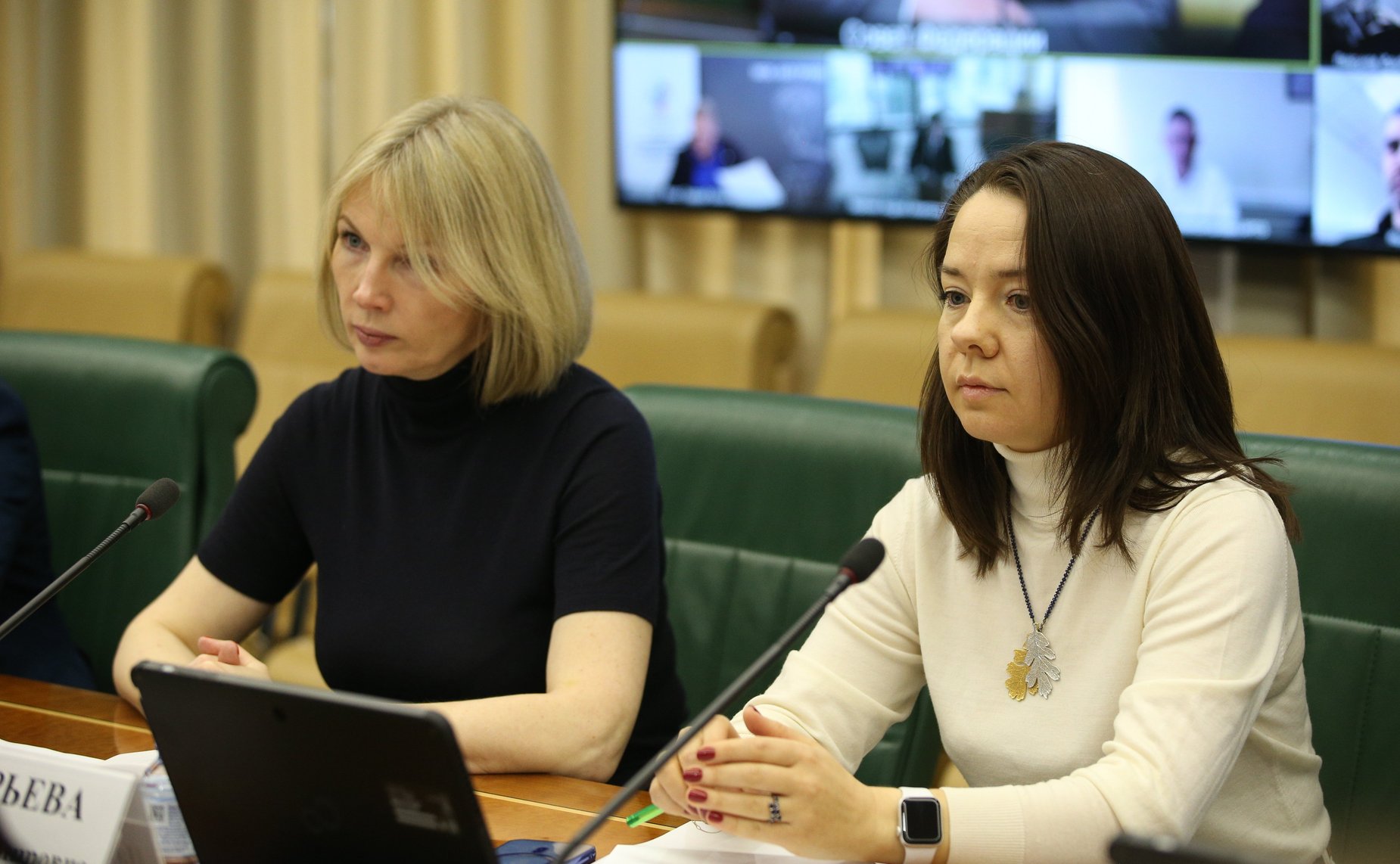 «Круглый стол» Комитета СФ по экономической политике