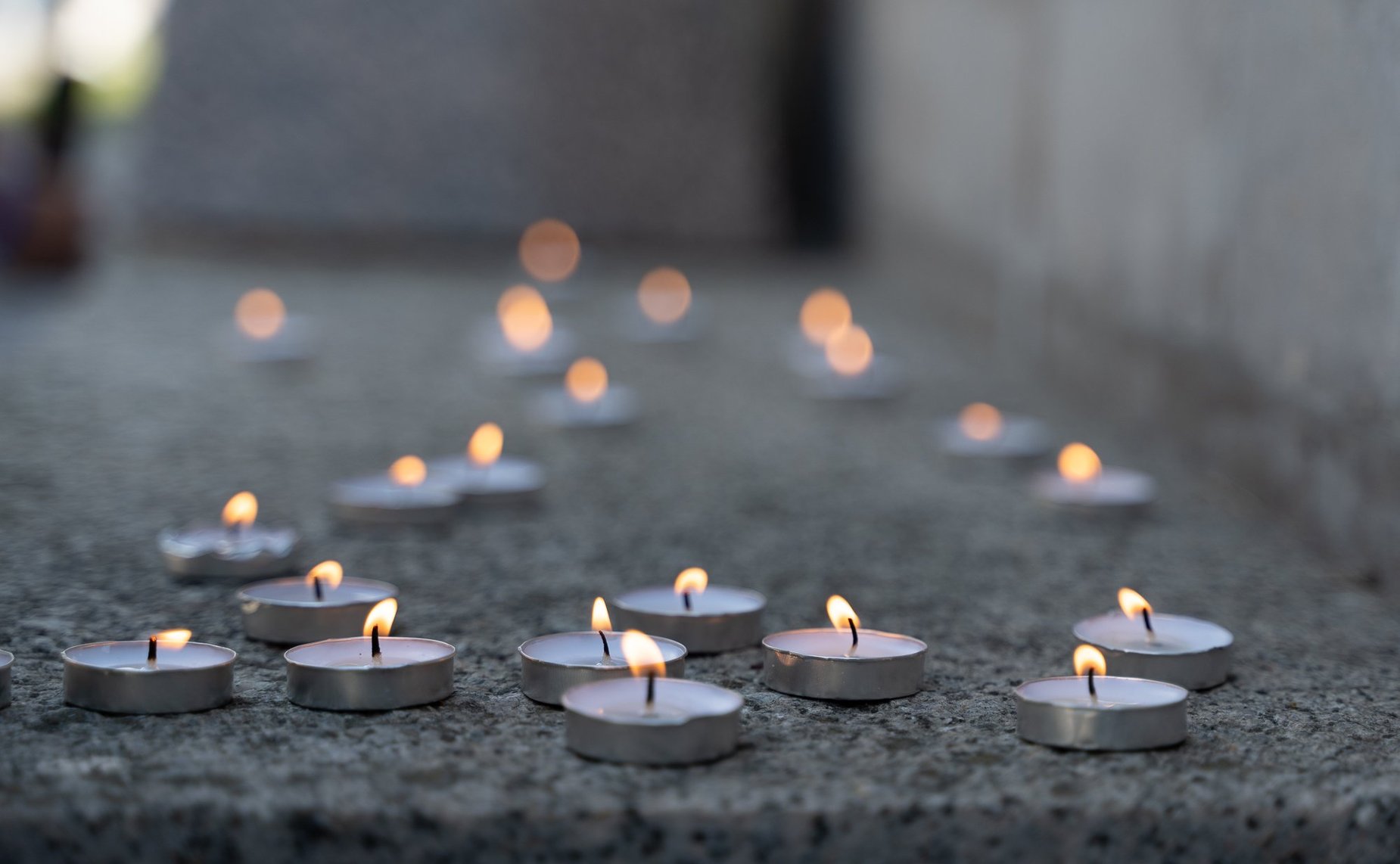 Участники культурно-образовательного проекта «Поезд Памяти» почтили память героев блокадного Ленинграда