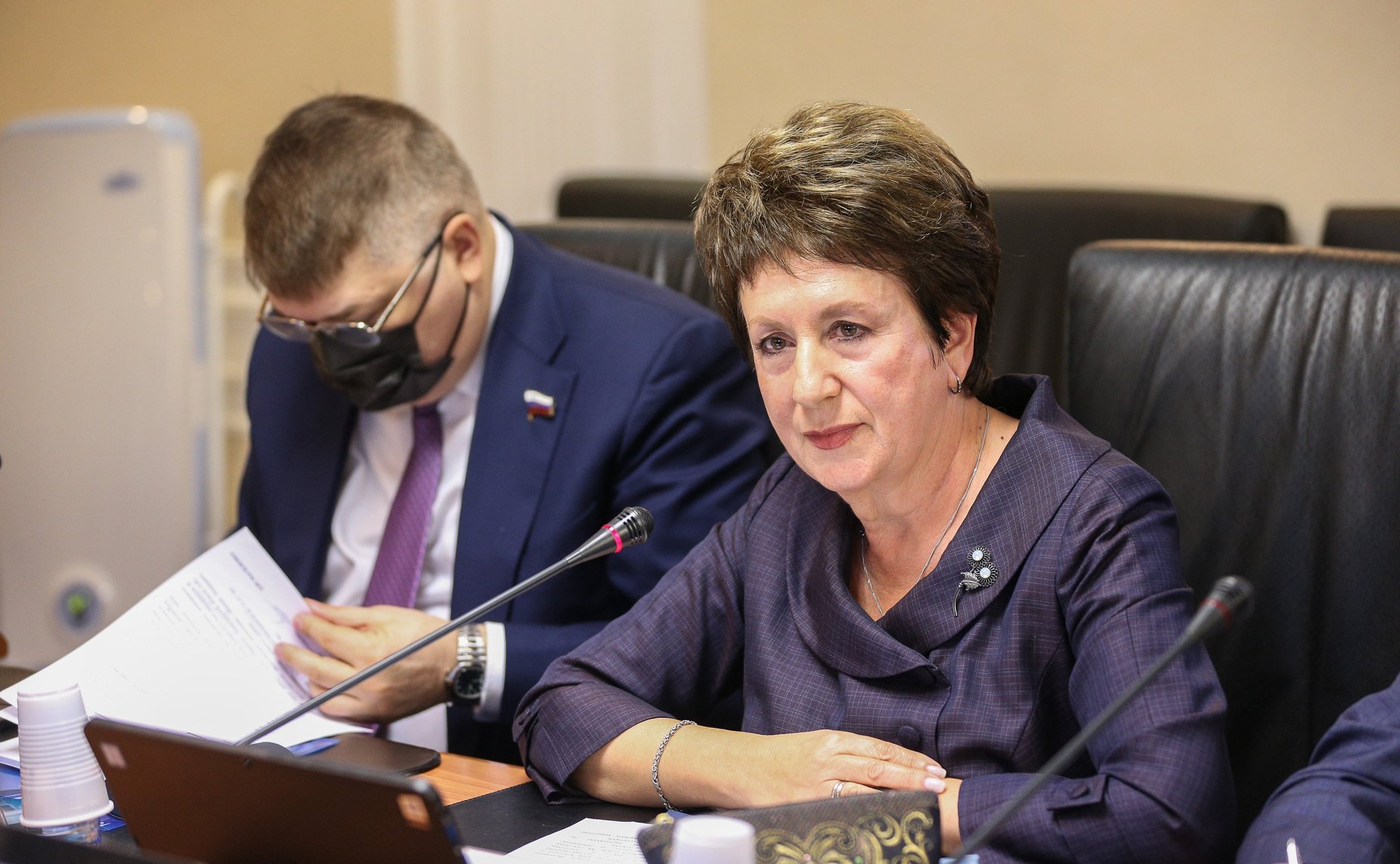 Заседание Комитета СФ по науке, образованию и культуре