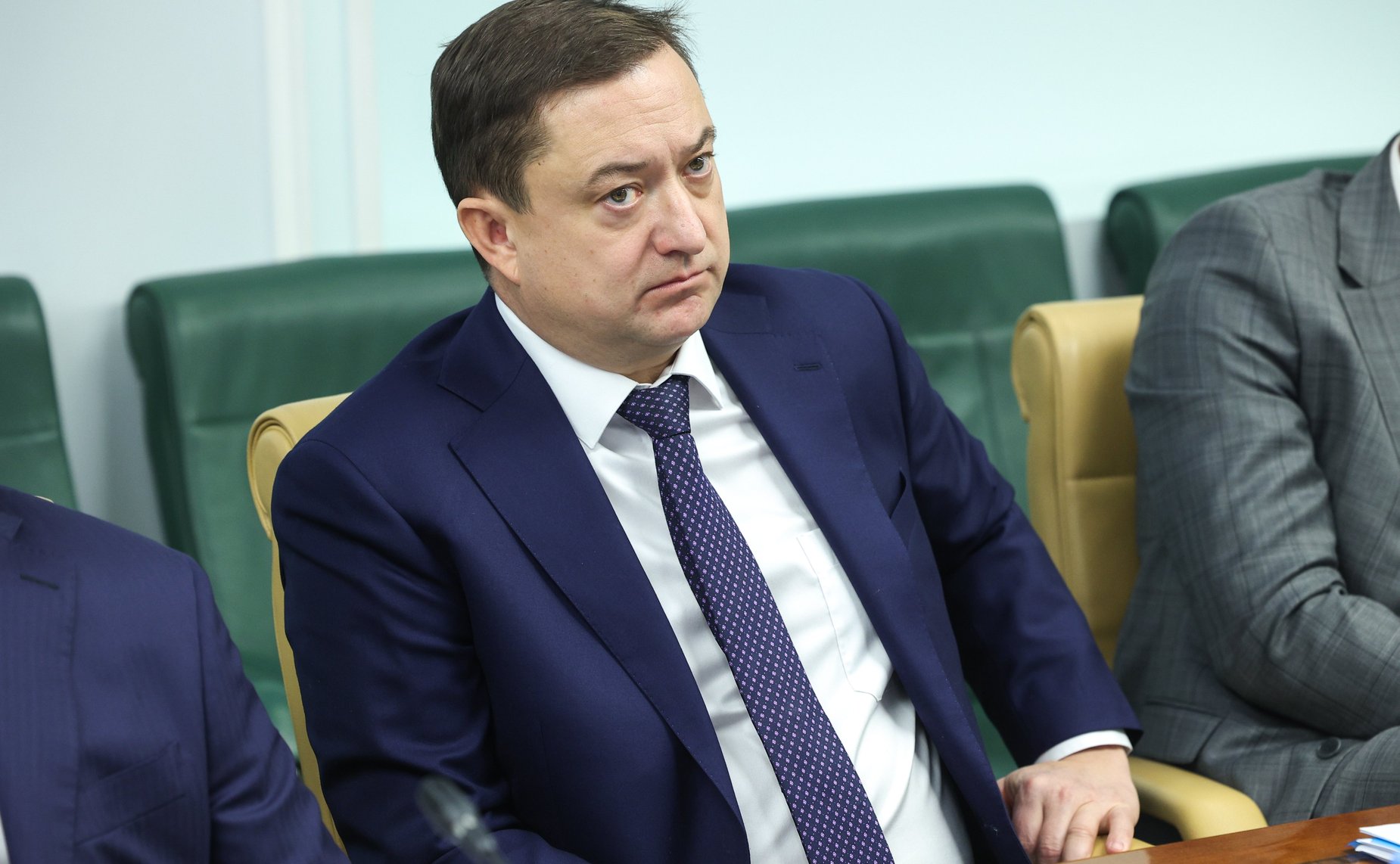 Заседание Совета по вопросам газификации субъектов Российской Федерации при Совете Федерации