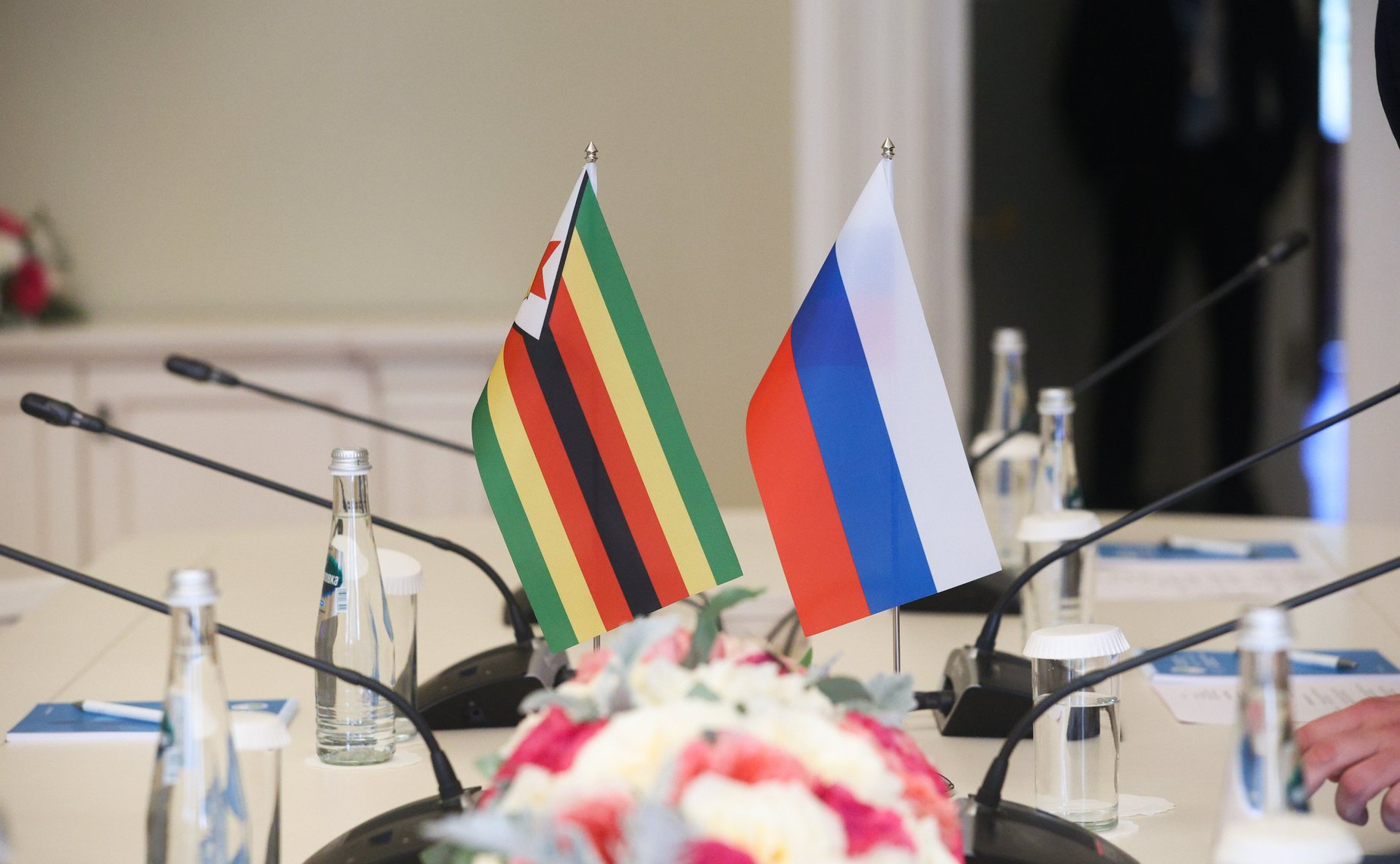 Валентина Матвиенко провела встречу с Председателем Сената Парламента Республики Зимбабве Мейбл Чиномоной