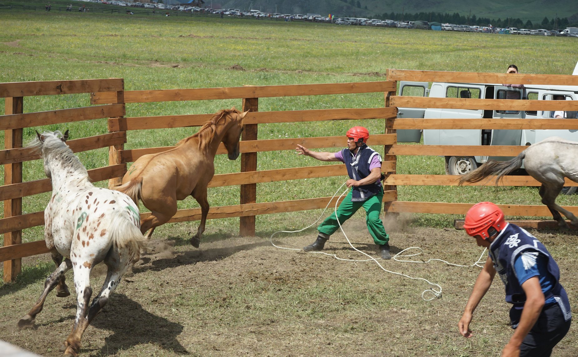 Межрегиональный праздник алтайского народа «Эл Ойын»