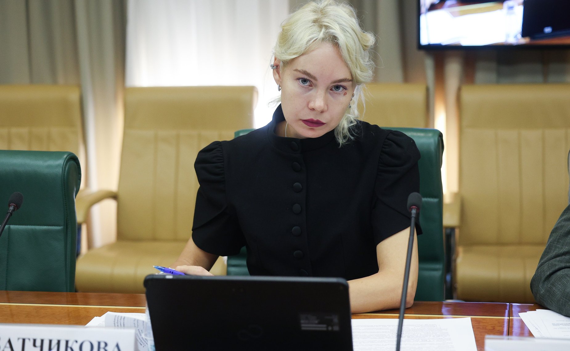 Заседание Совета по вопросам газификации субъектов Российской Федерации при Совете Федерации Федерального Собрания Российской Федерации