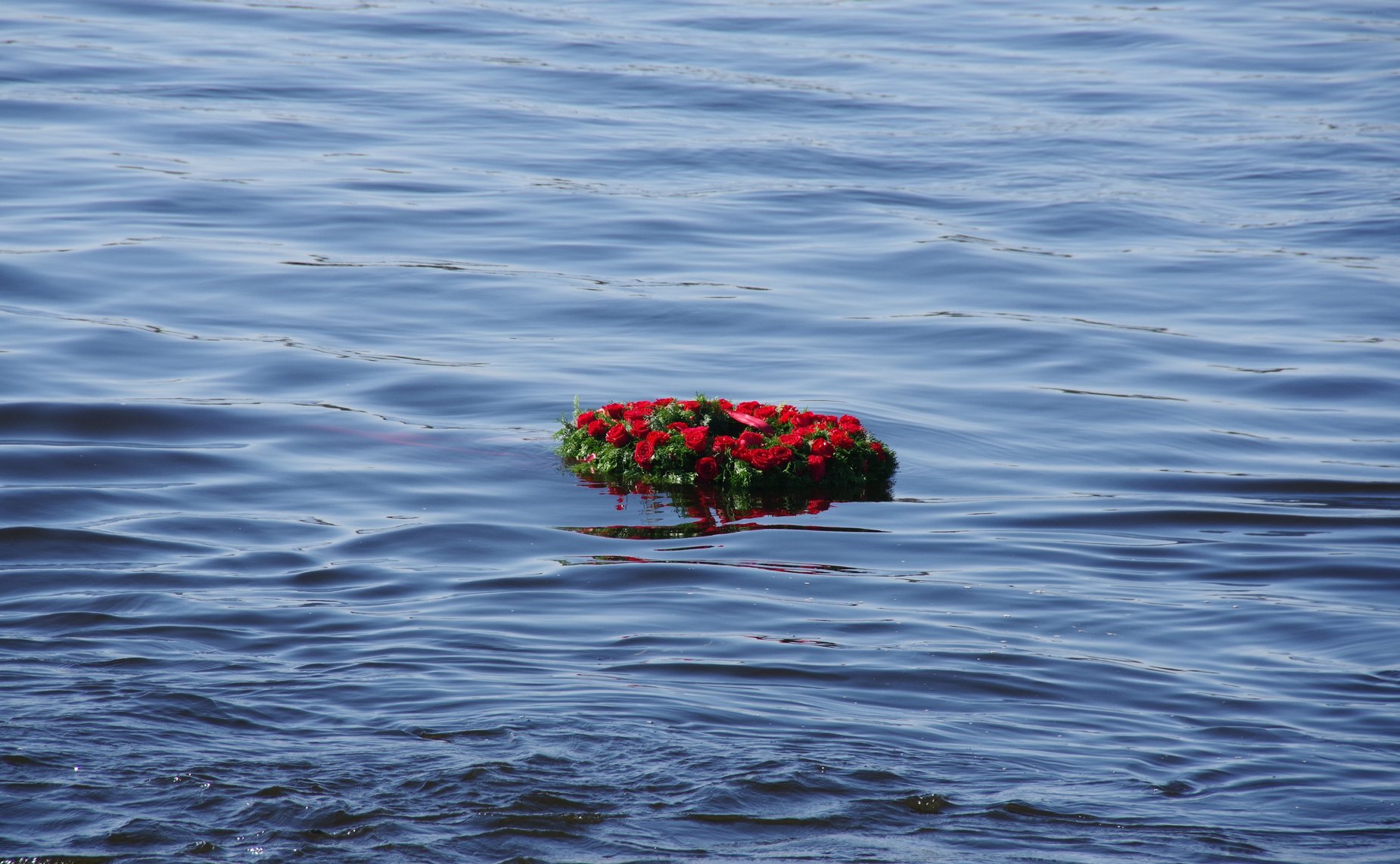 В День памяти жертв блокады Ленинграда на территории Кировского района Ленинградской области со дна реки Невы поднята боевая пушка времен Великой Отечественной войны