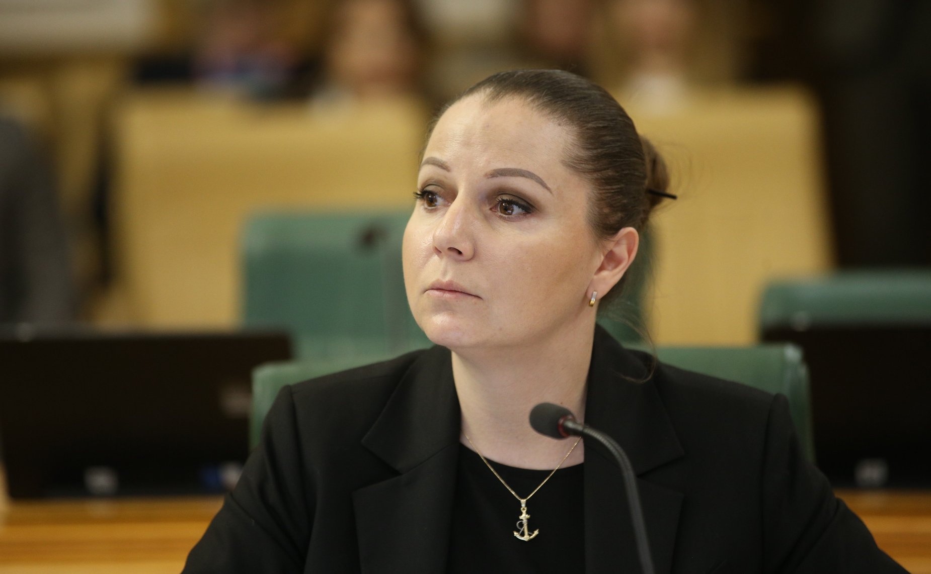 Заседание Комитета СФ по конституционному законодательству и государственному строительству