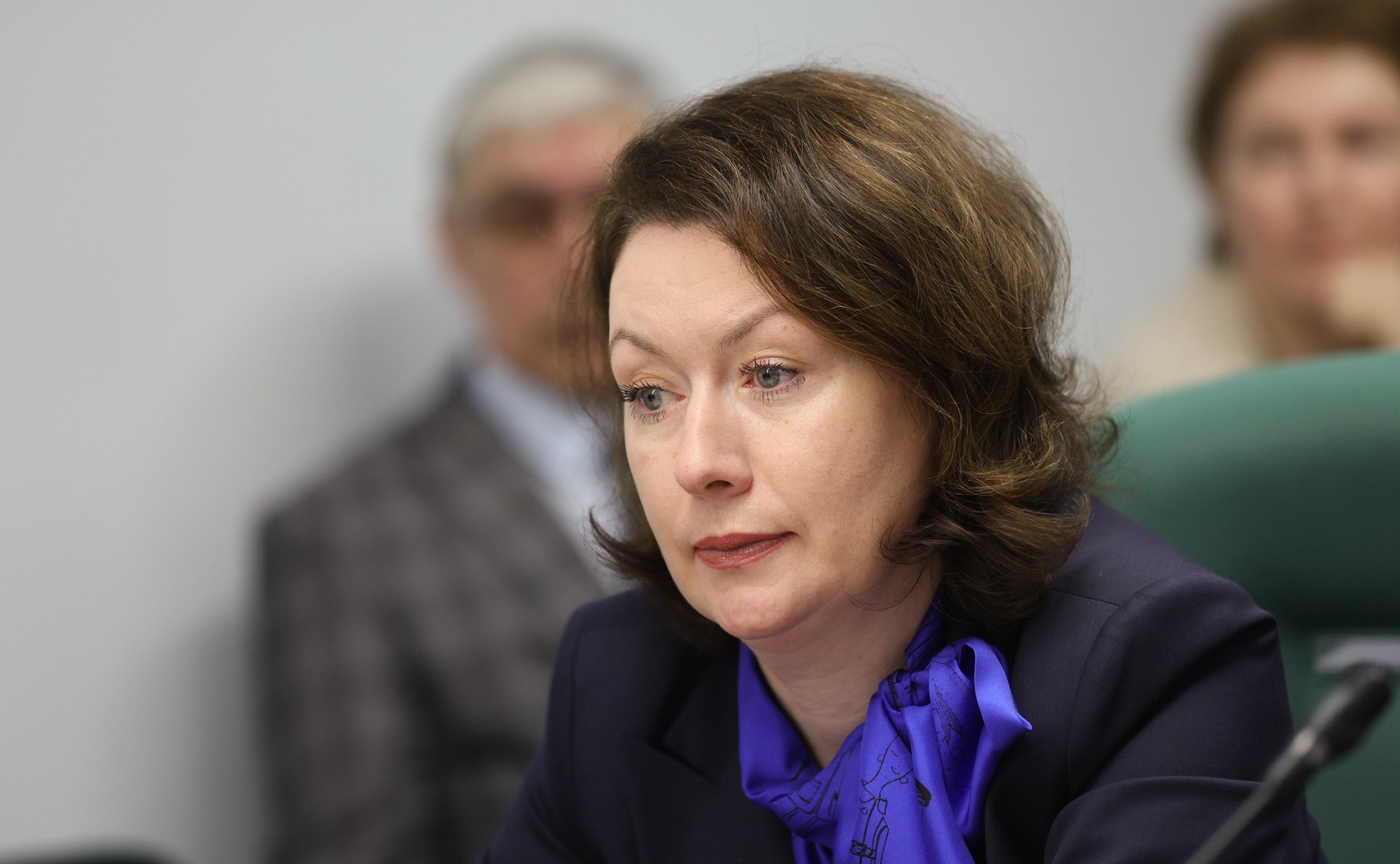 Совещание Комитета СФ по Регламенту и организации парламентской деятельности