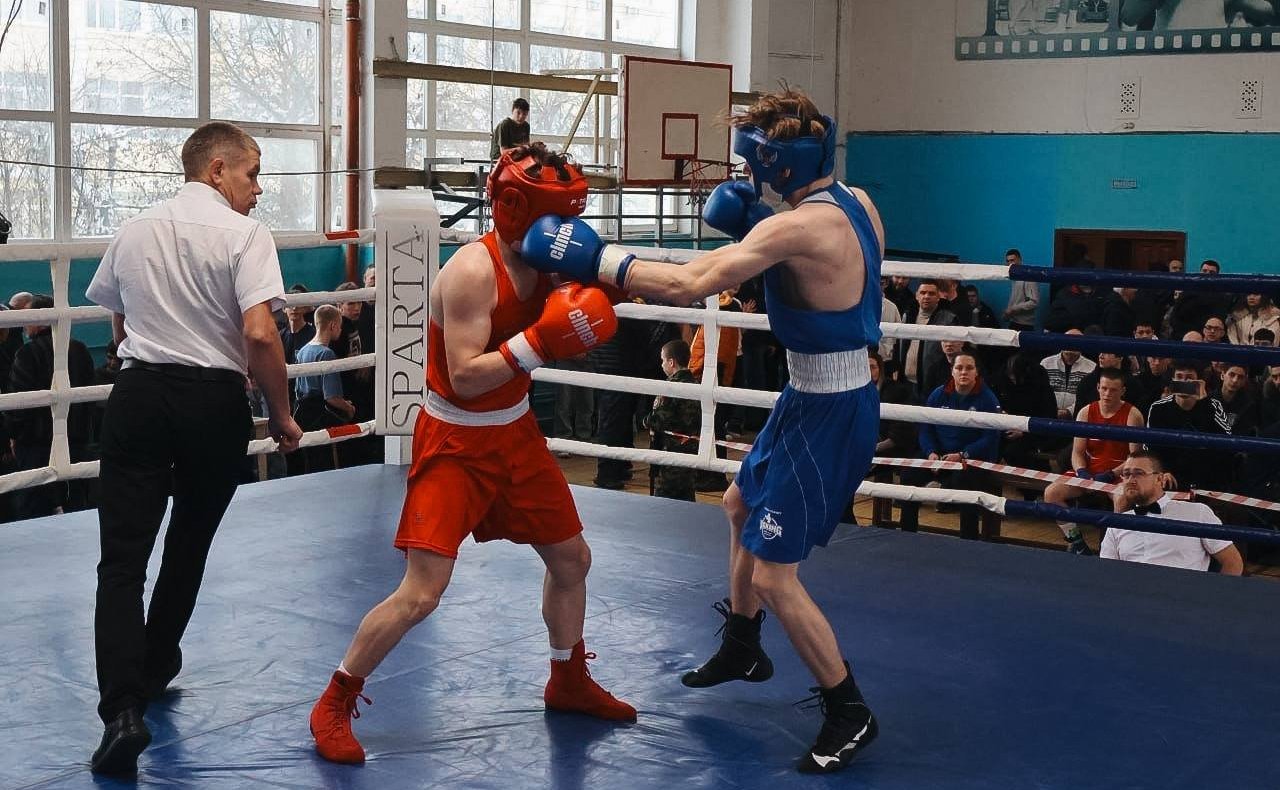 Светлана Кириллова приняла участие в награждении победителей чемпионата и первенства Костромской области по боксу