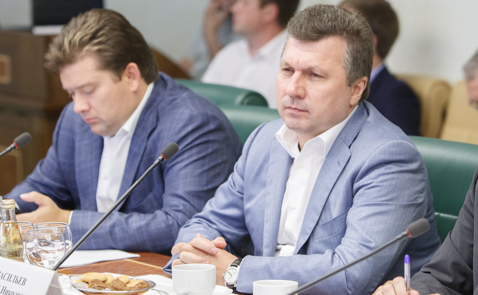 Заседание временной комиссии по мониторингу участия РФ в ВТО и Таможенном союзе-6 Васильев