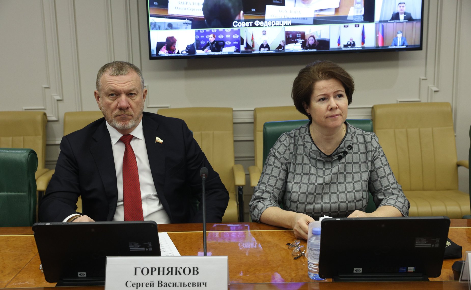 Круглый стол Комитета СФ по социальной политике