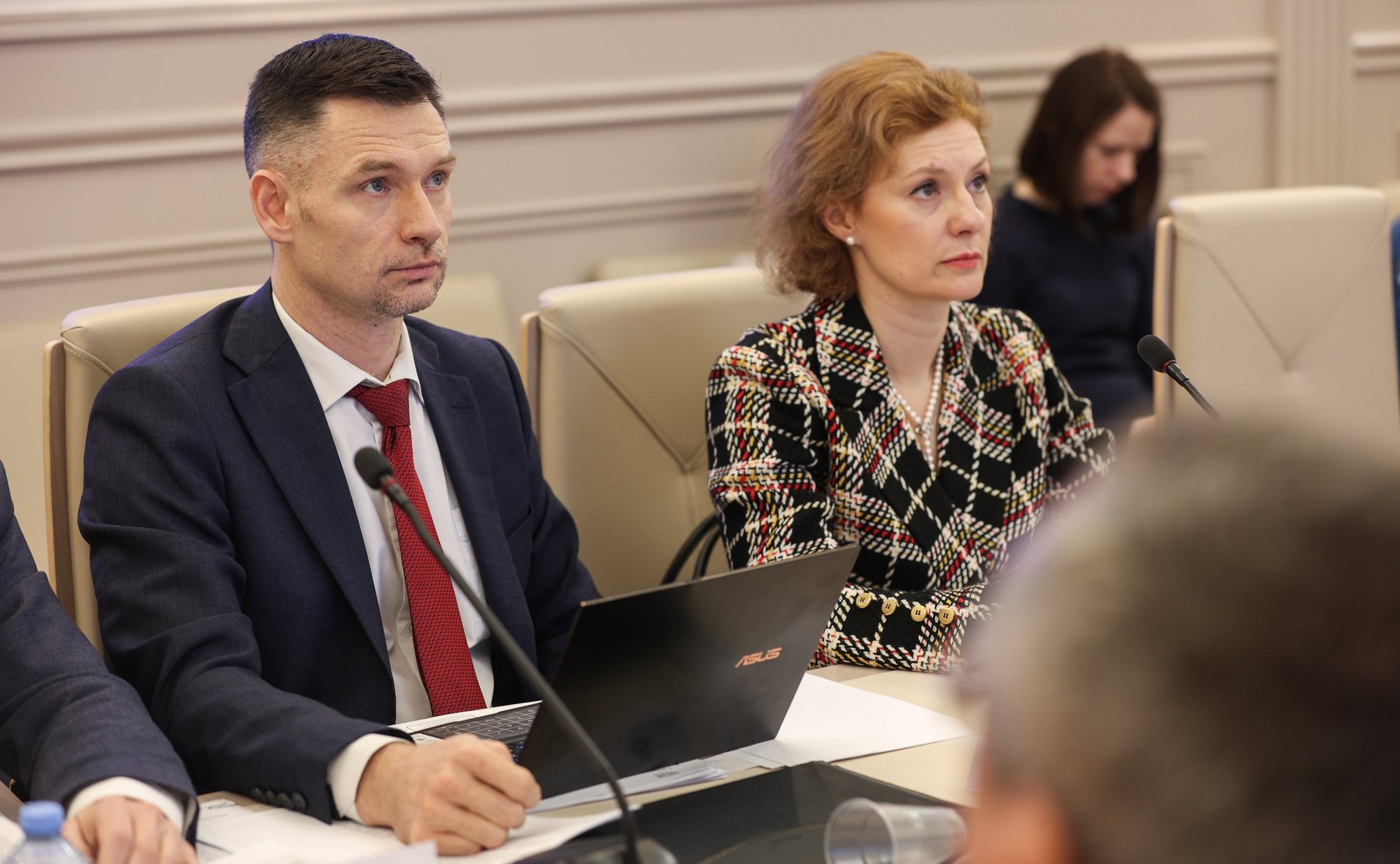 Заседание рабочей группы Комитета СФ по бюджету и финансовым рынкам по подготовке предложений по обеспечению сбалансированности бюджетов субъектов РФ с учетом их особенностей