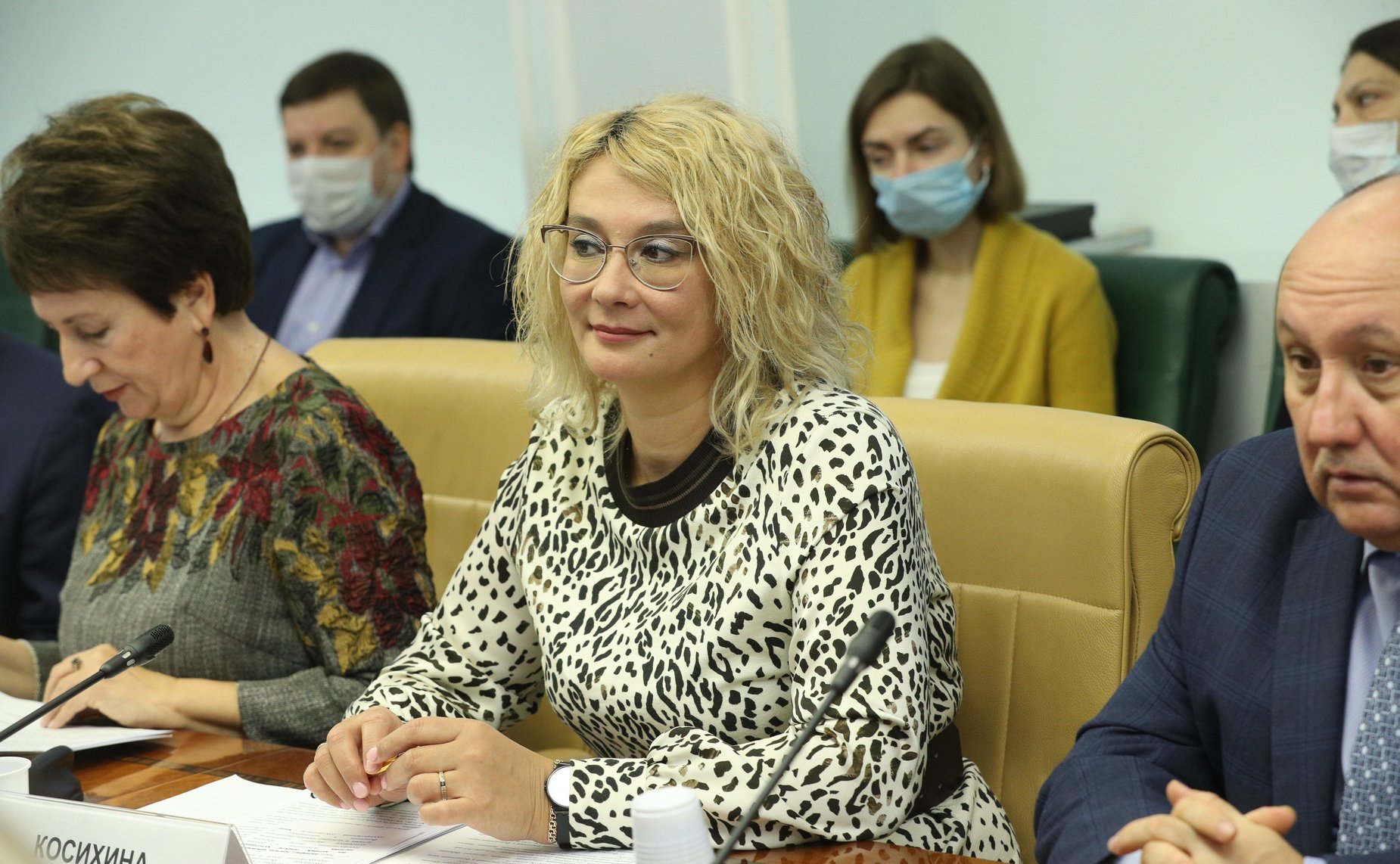 Расширенное заседание Комитета Совета Федерации по науке, образованию и культуре в рамках Дней Нижегородской области в СФ