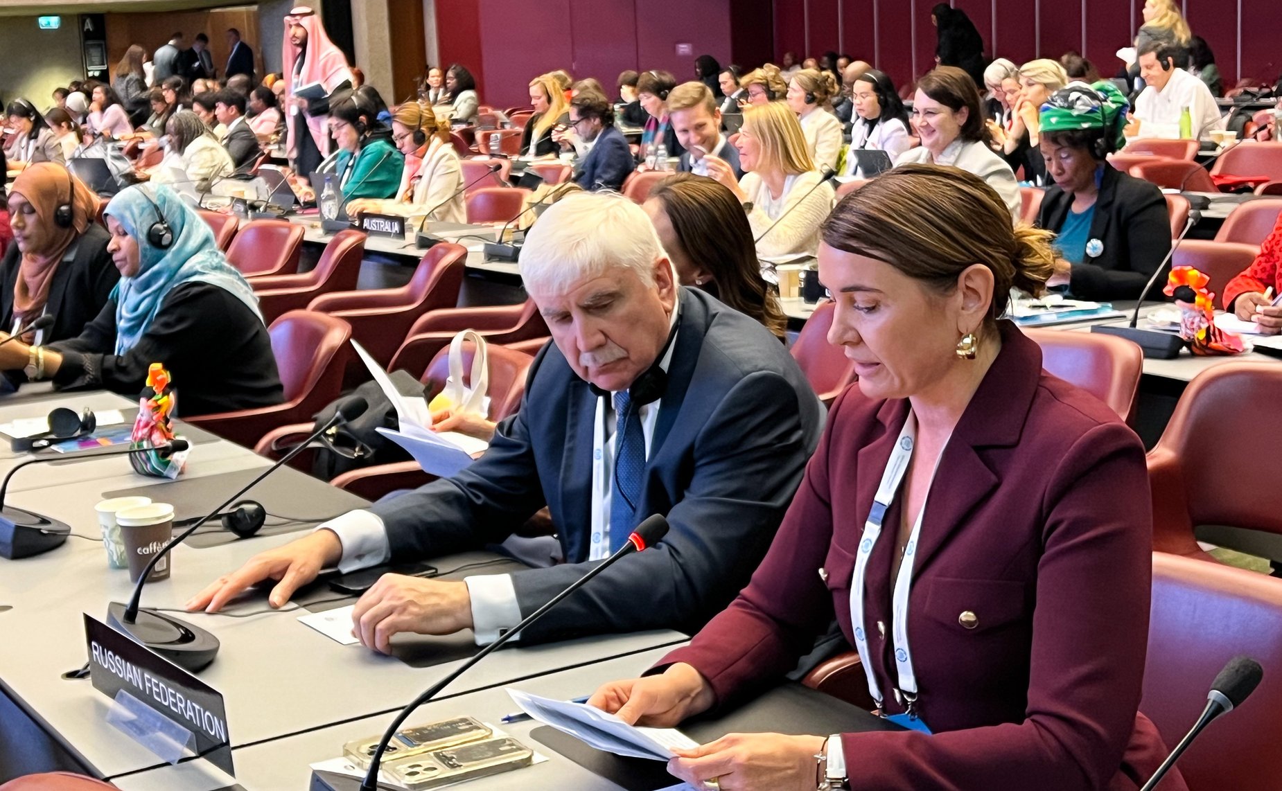 Сенаторы РФ приняли участие в заседании Постоянного комитета по вопросам демократии и прав человека. 151-я Ассамблея МПС