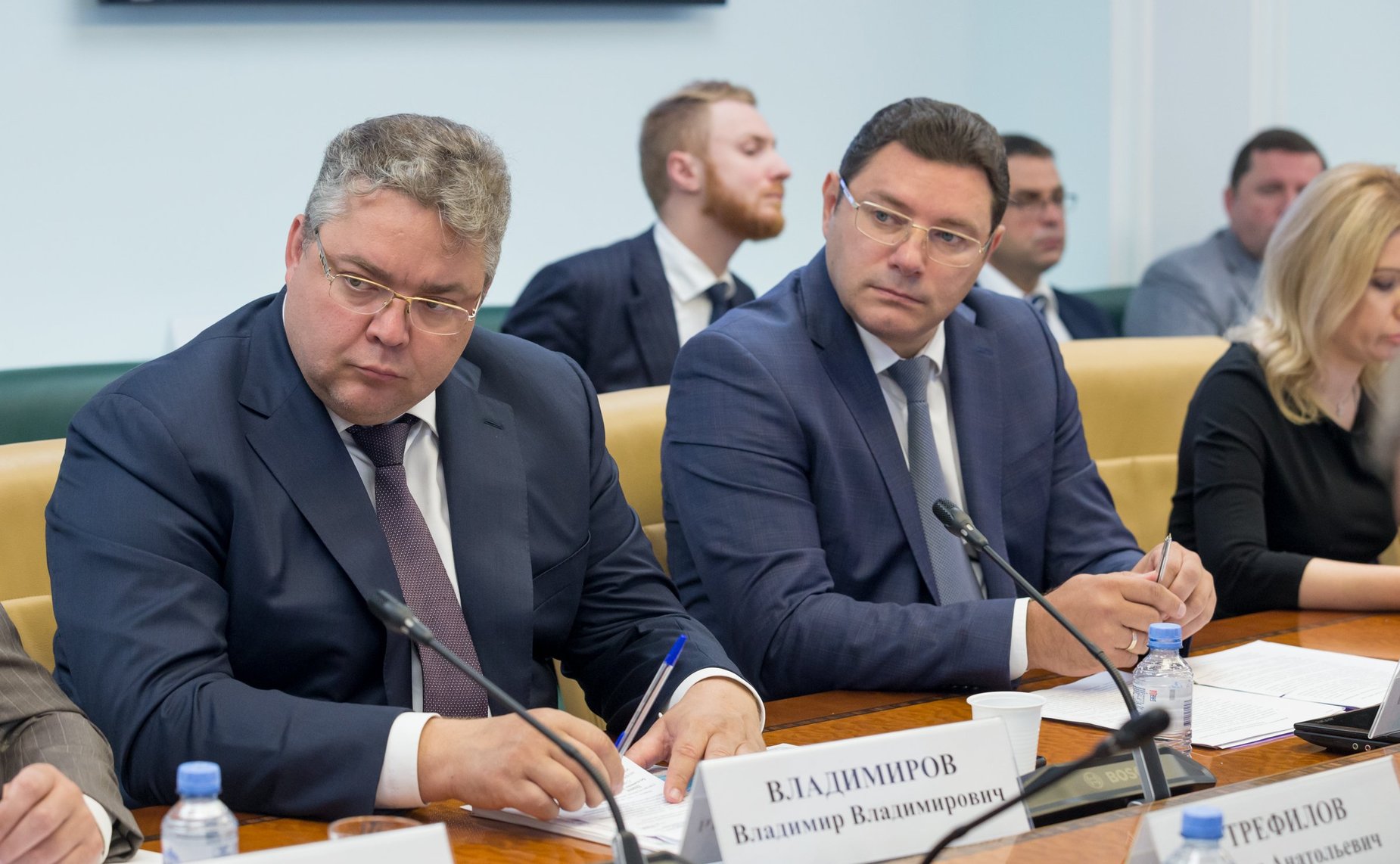 Заседание рабочей группы по взаимодействию с федеральными органами исполнительной власти и органами государственной власти Ставропольского края