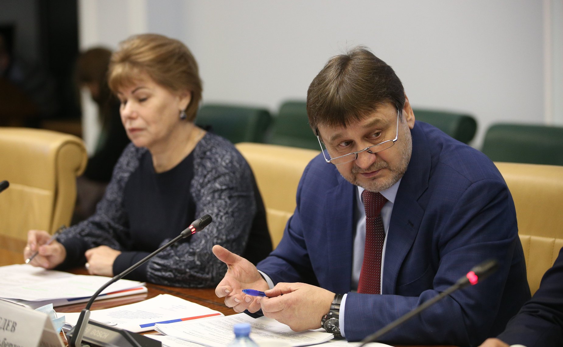 Заседание рабочей группы по контролю за исполнением постановления СФ «О мерах по совершенствованию государственной политики в сфере лесного хозяйства»