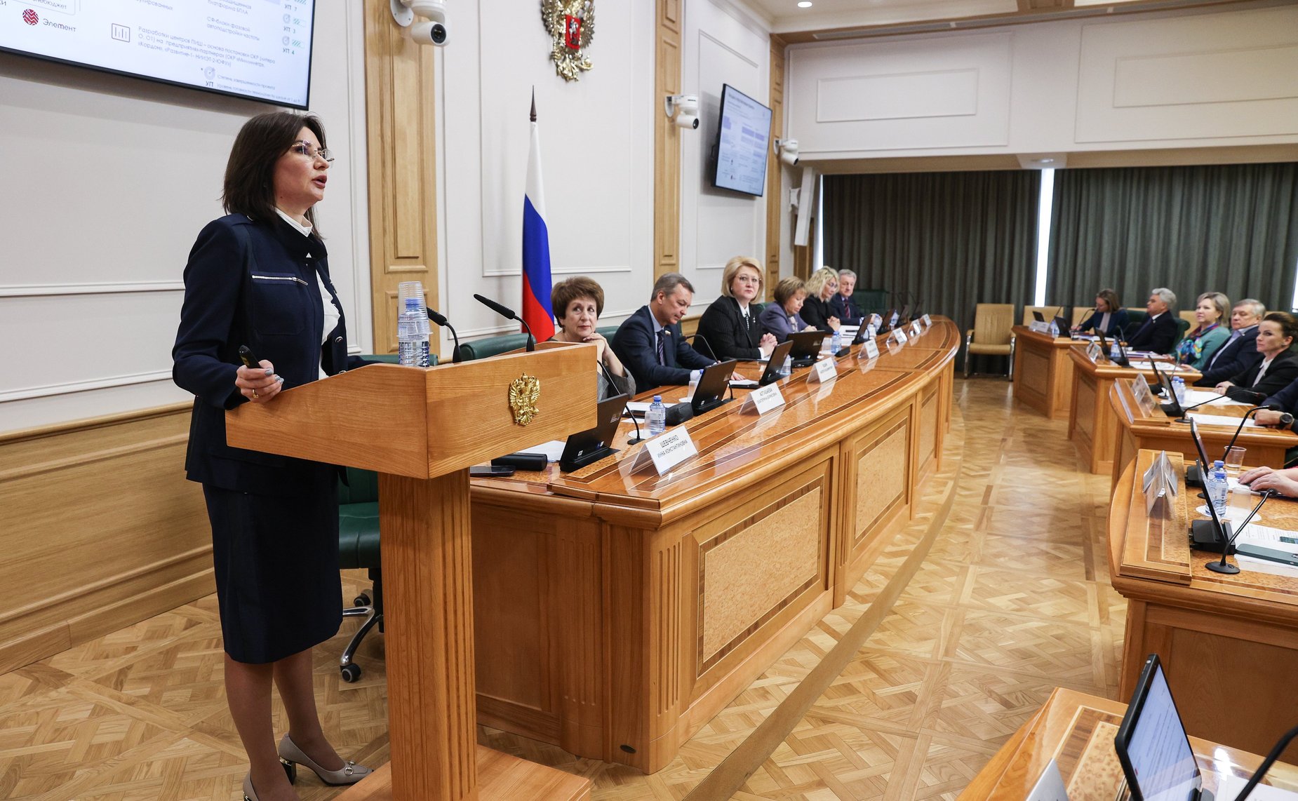 Заседание Комитета СФ по науке, образованию и культуре