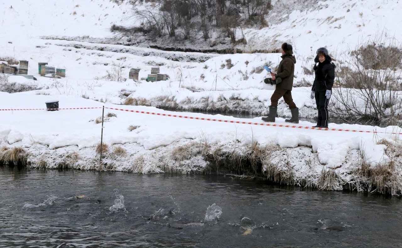 Татьяна Гигель посетила форелеводческое крестьянско-фермерское хозяйство