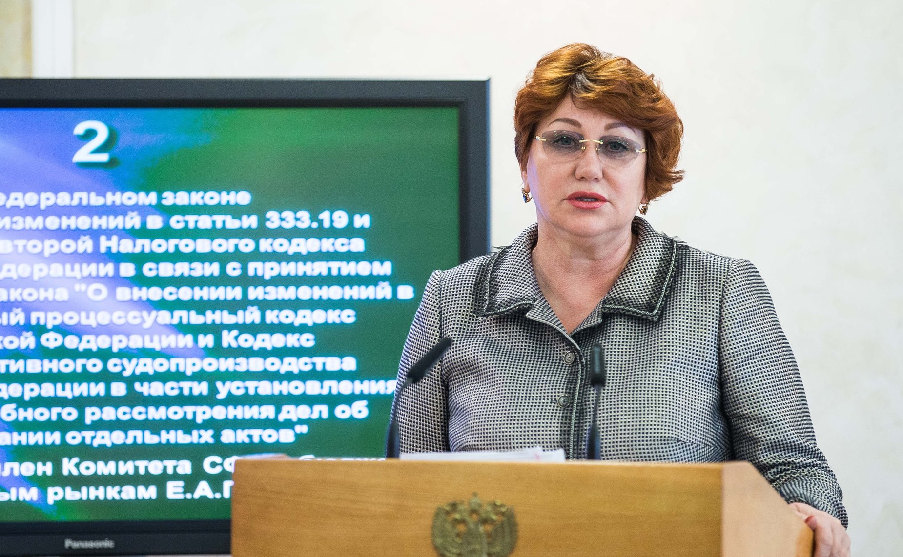 Е. Петрминова Заседание Комитета Совета Федерации по бюджету и финансовым рынкам