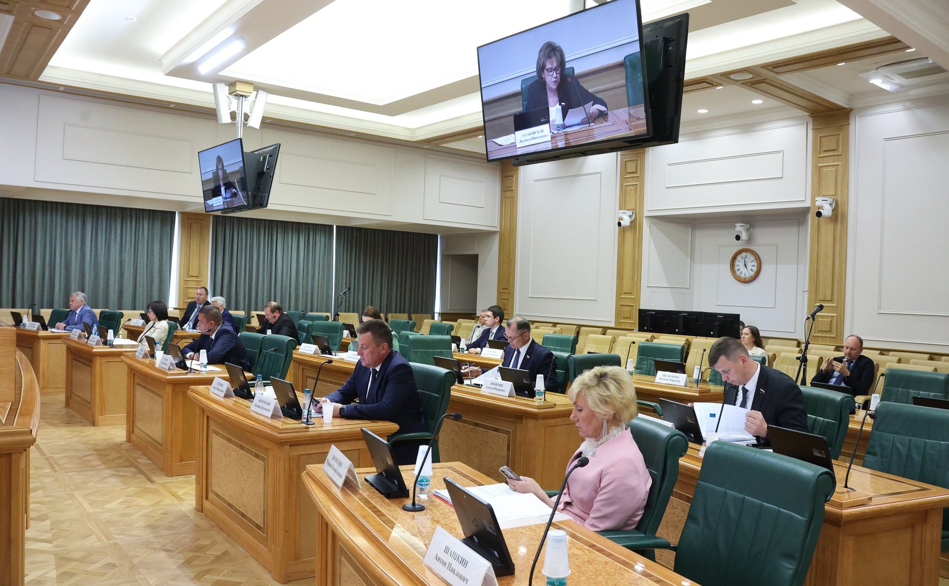 Заседание Комитета Совета Федерации по науке, образованию и культуре