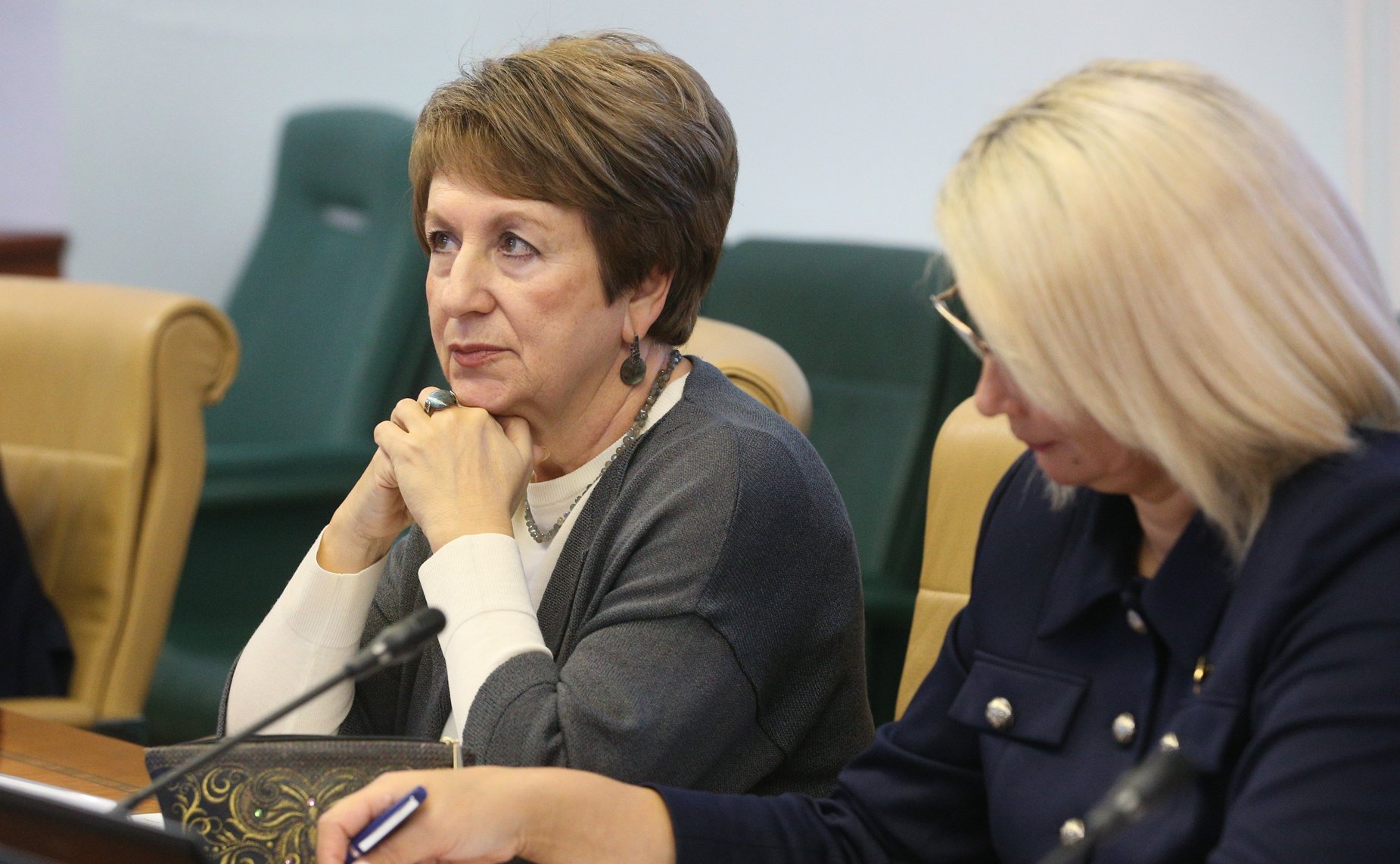 Заседание Комитета СФ по науке, образованию и культуре