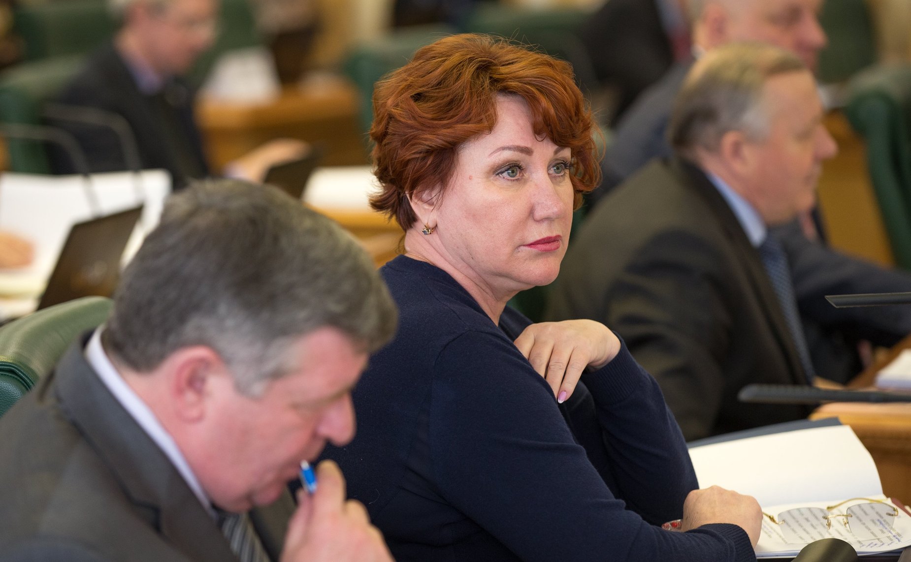 Е. Перминова на заседании Комитета СФ по бюджету и финансовым рынкам