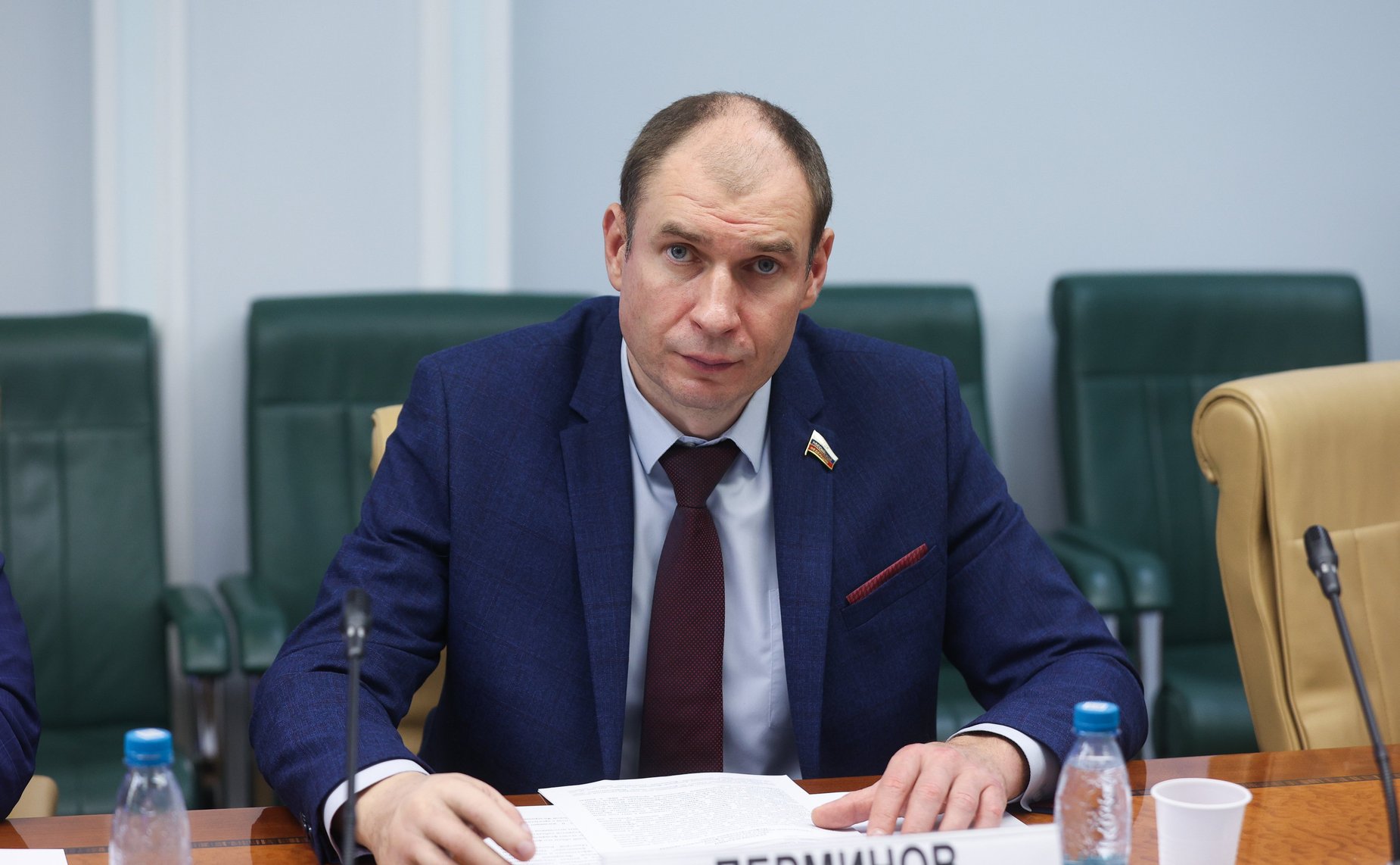 Дмитрий Перминов