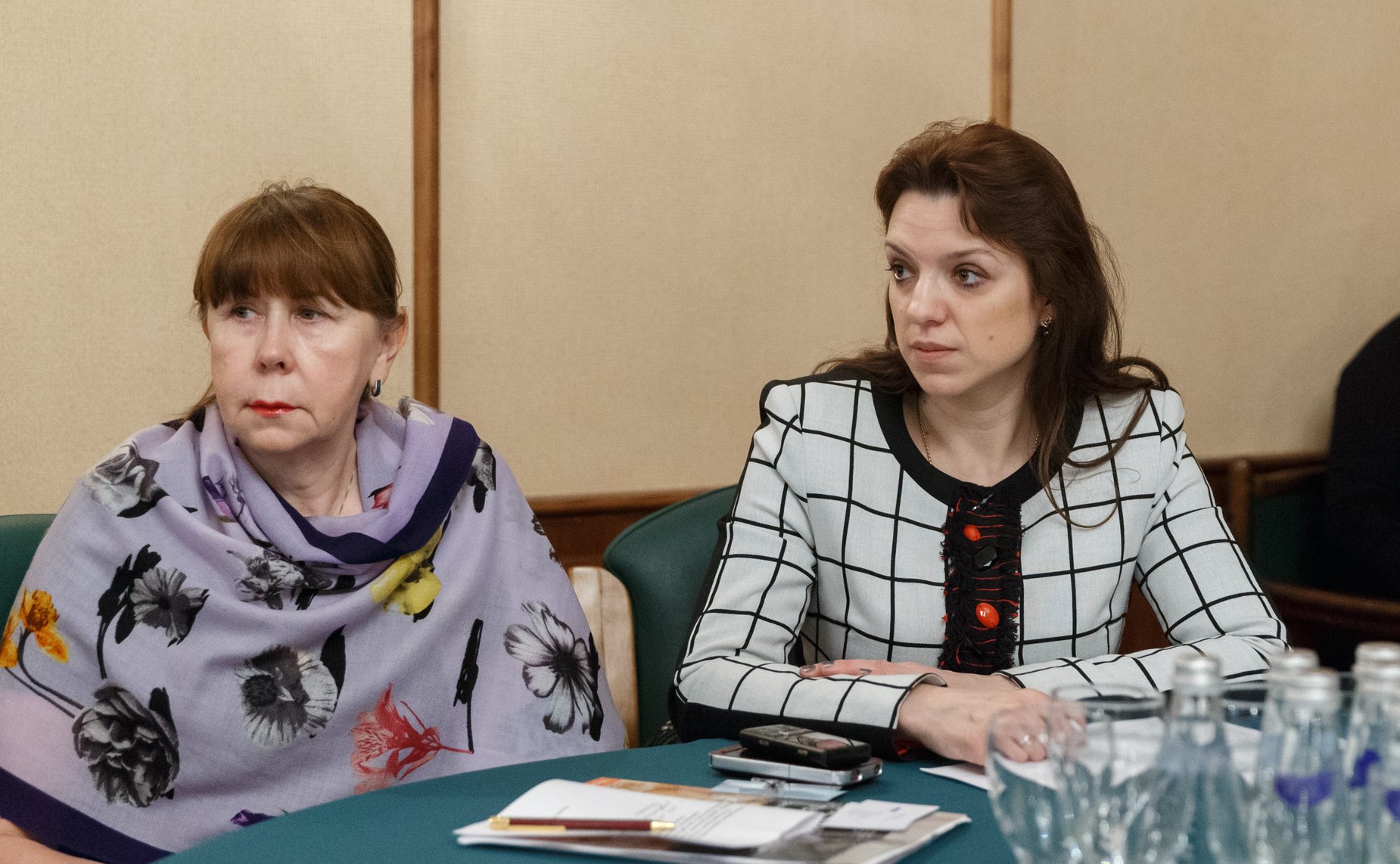 Ю. Вепринцева Заседание Экспертного совета по здравоохранению при Комитет СФ по социальной политике