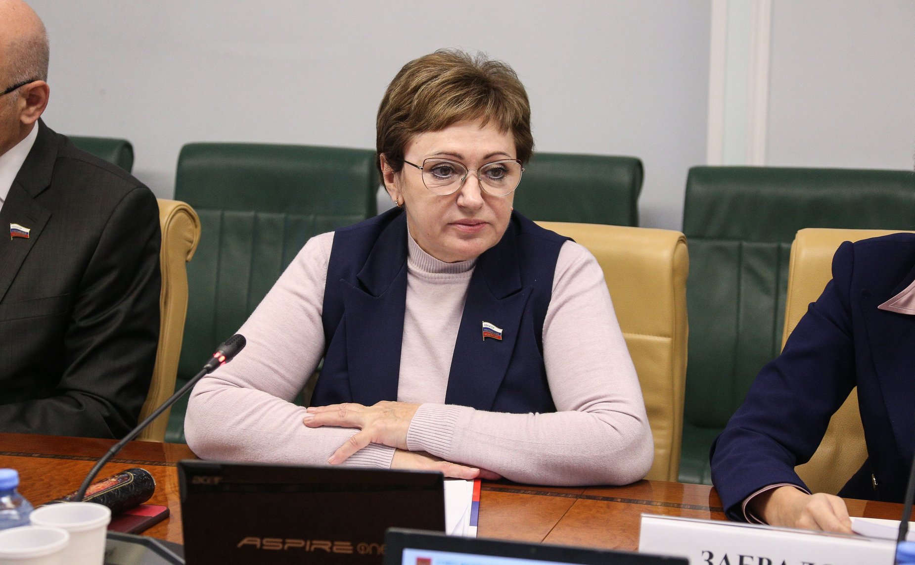 Елена Бибикова