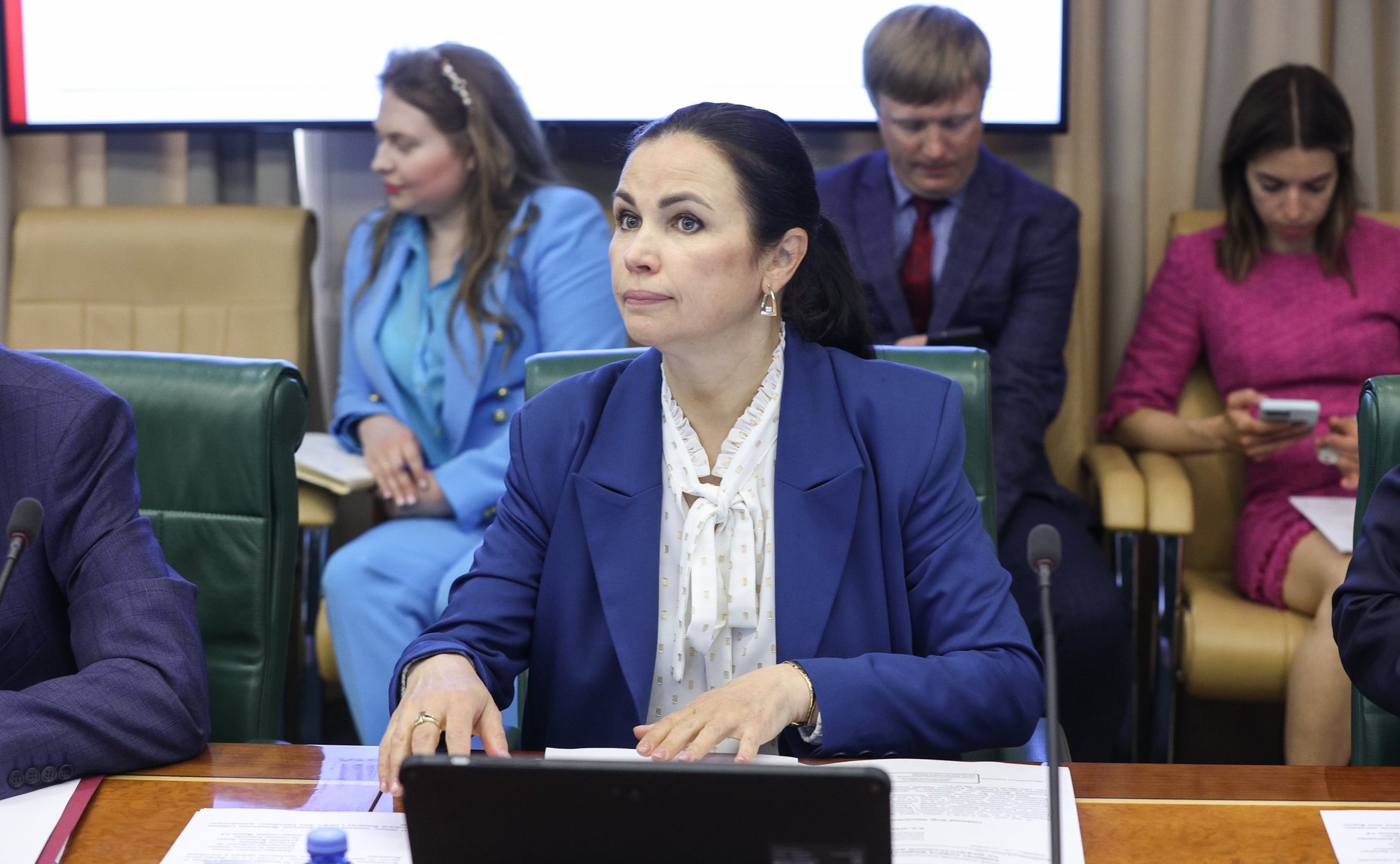 Заседание Комитета СФ по международным делам