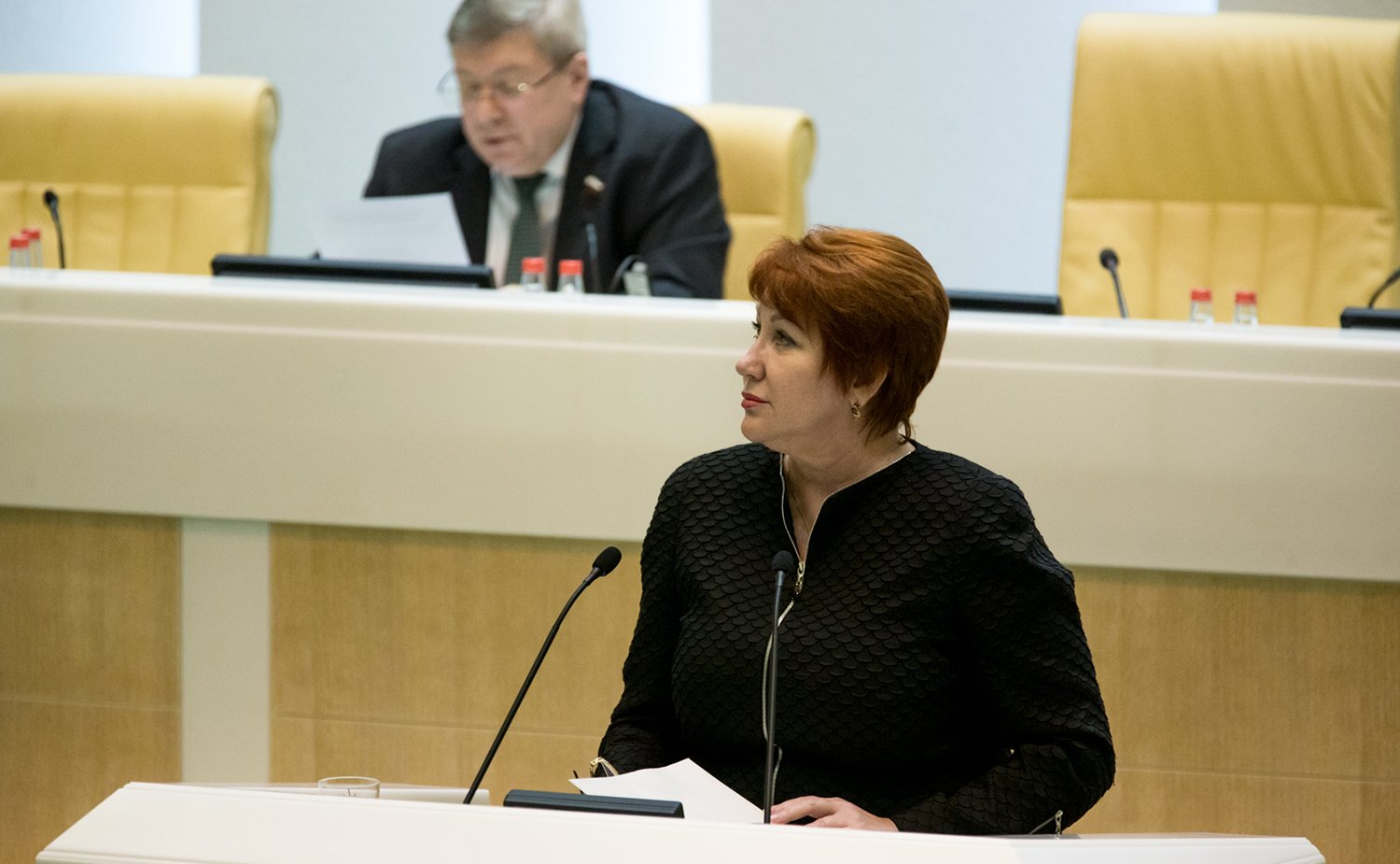 363-е заседание Перминова