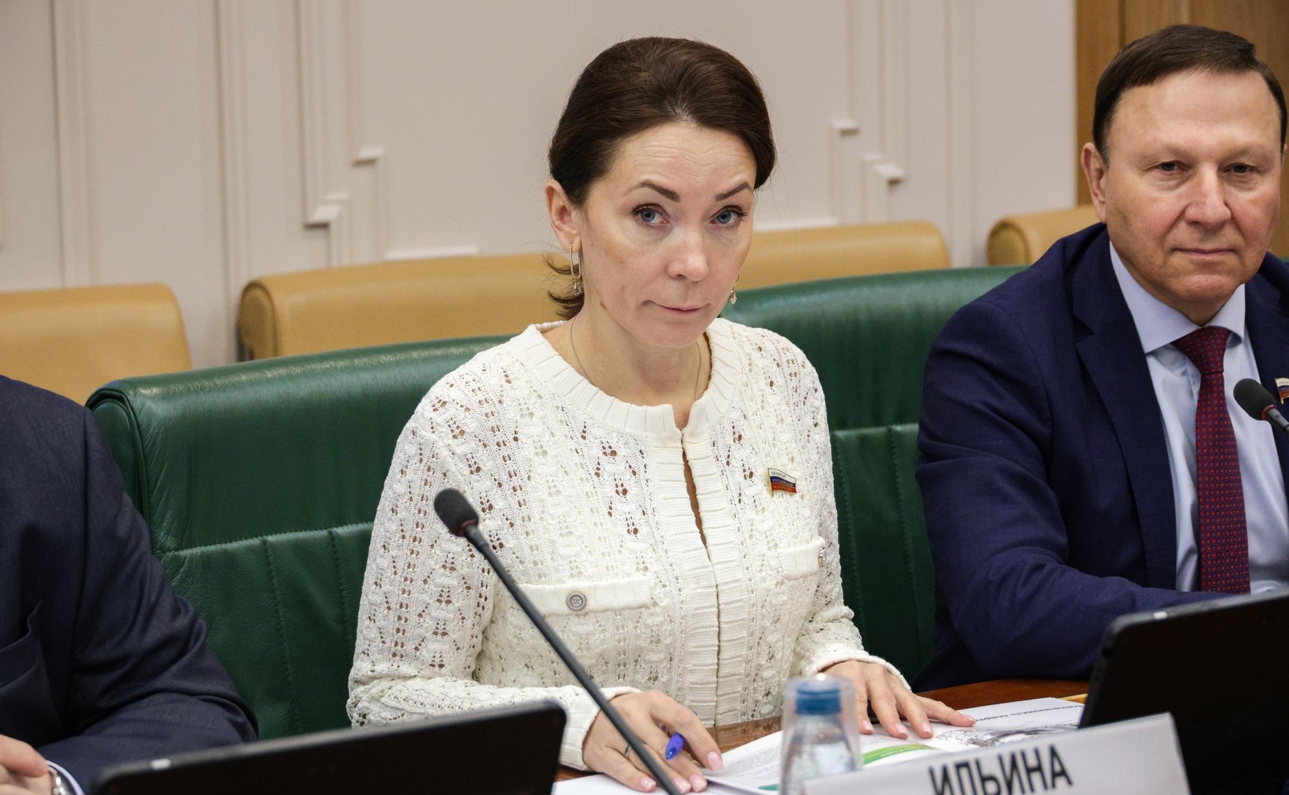 Надежда Ильина