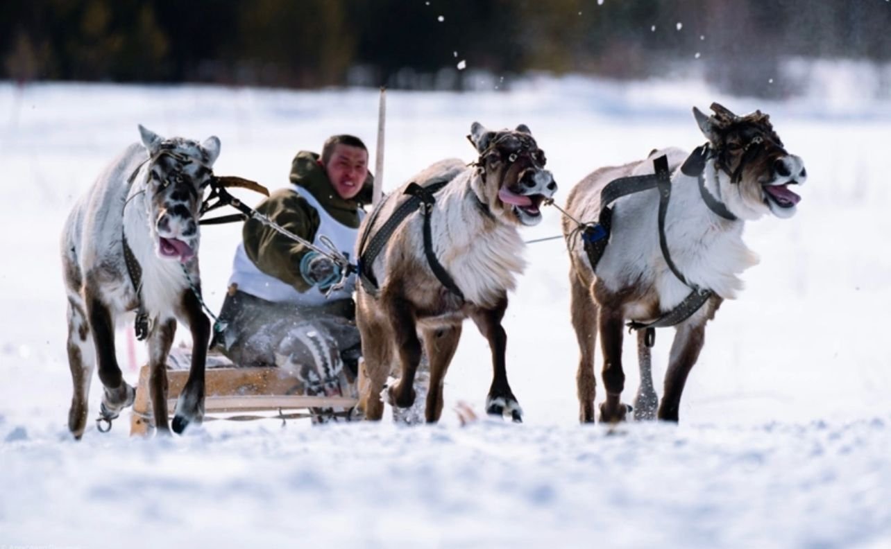 Когалымский «День оленевода» — спортивный праздник