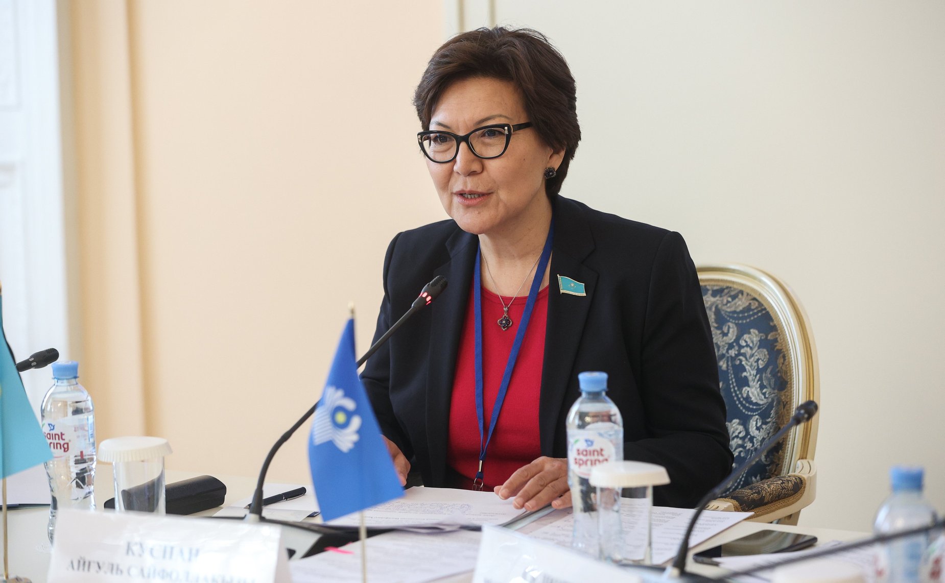 Заседание Постоянной комиссии МПА СНГ по политическим вопросам и международному сотрудничеству