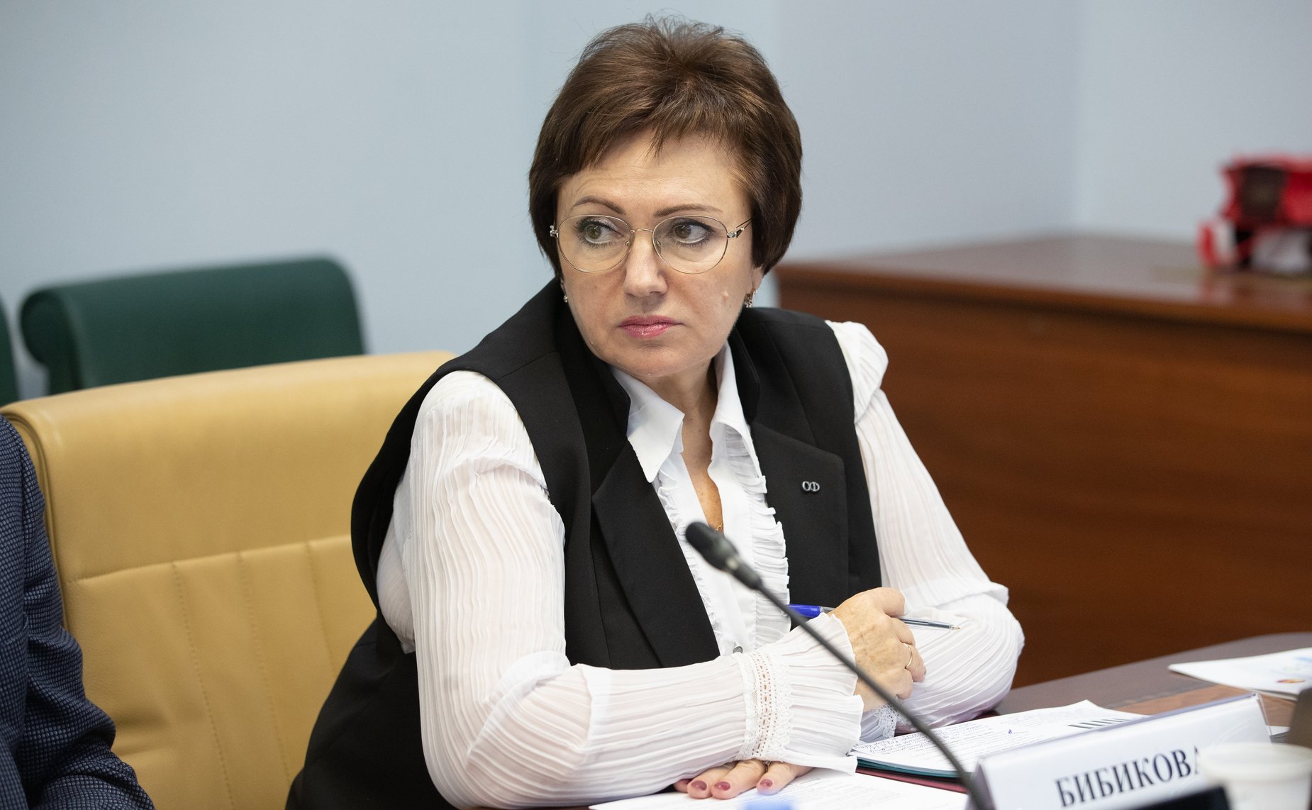 Елена Бибикова